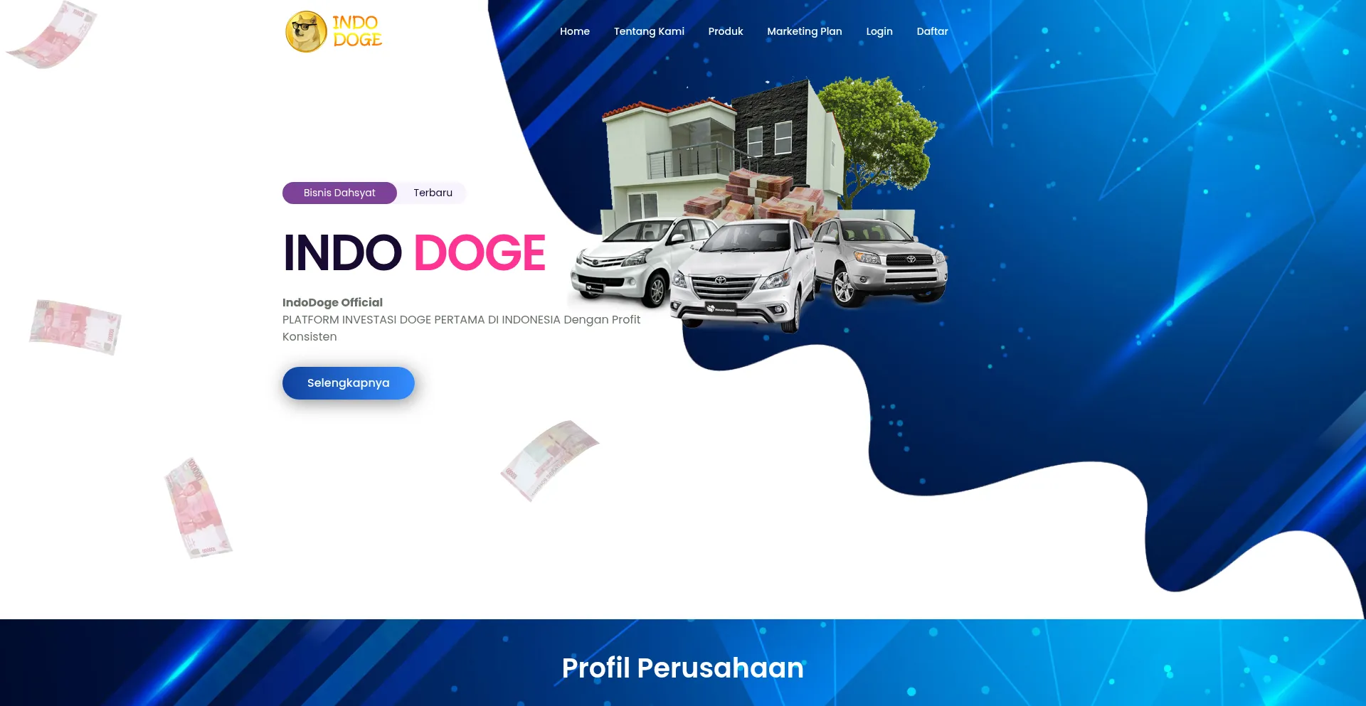 Website screenshot of Indodoge.com