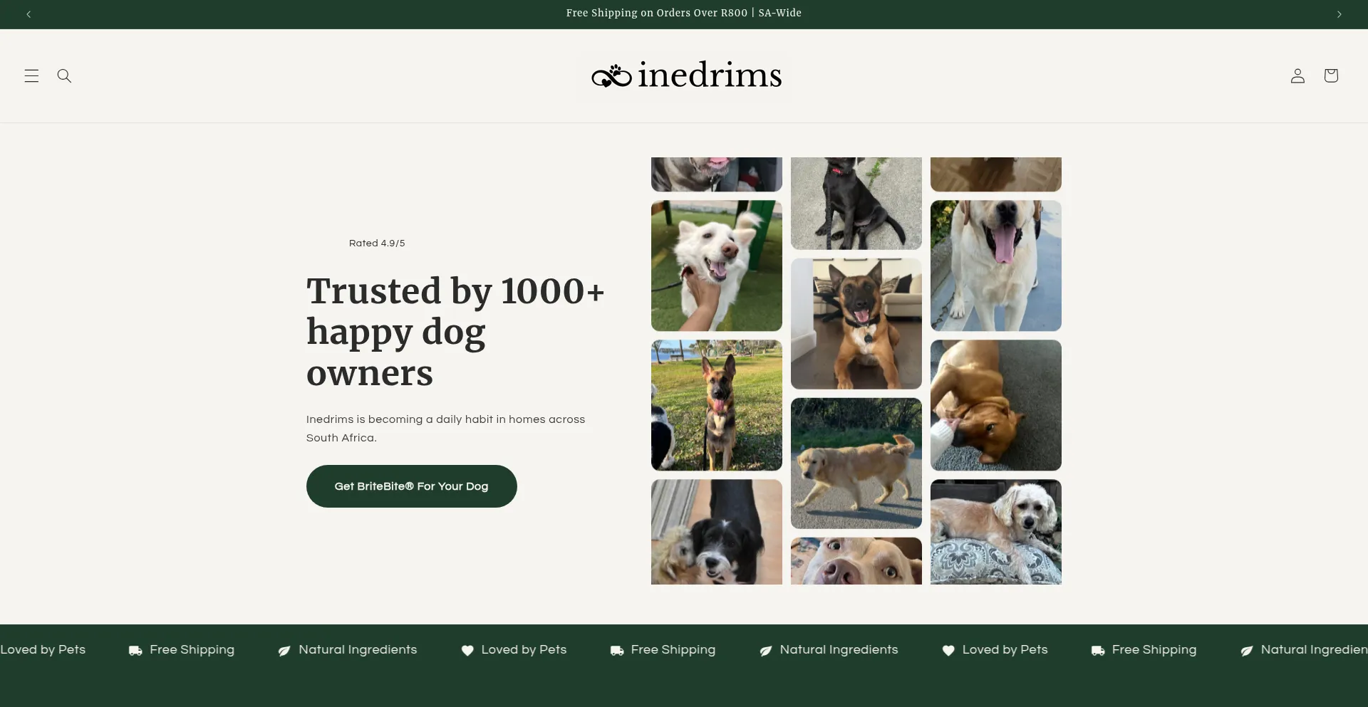 Inedrims.co.za