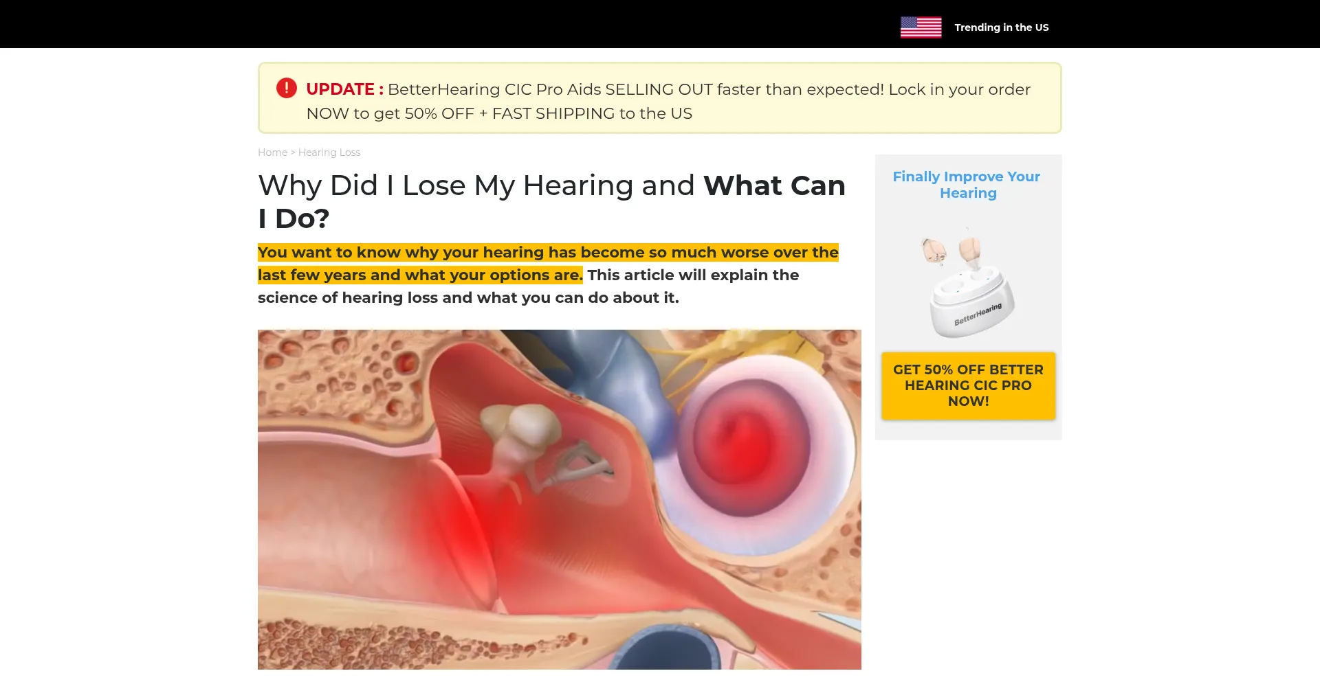 Website screenshot of Info.ozzihome.co