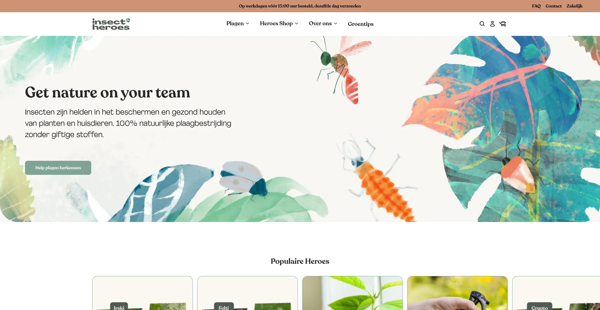 Website screenshot of Insectheroes.nl