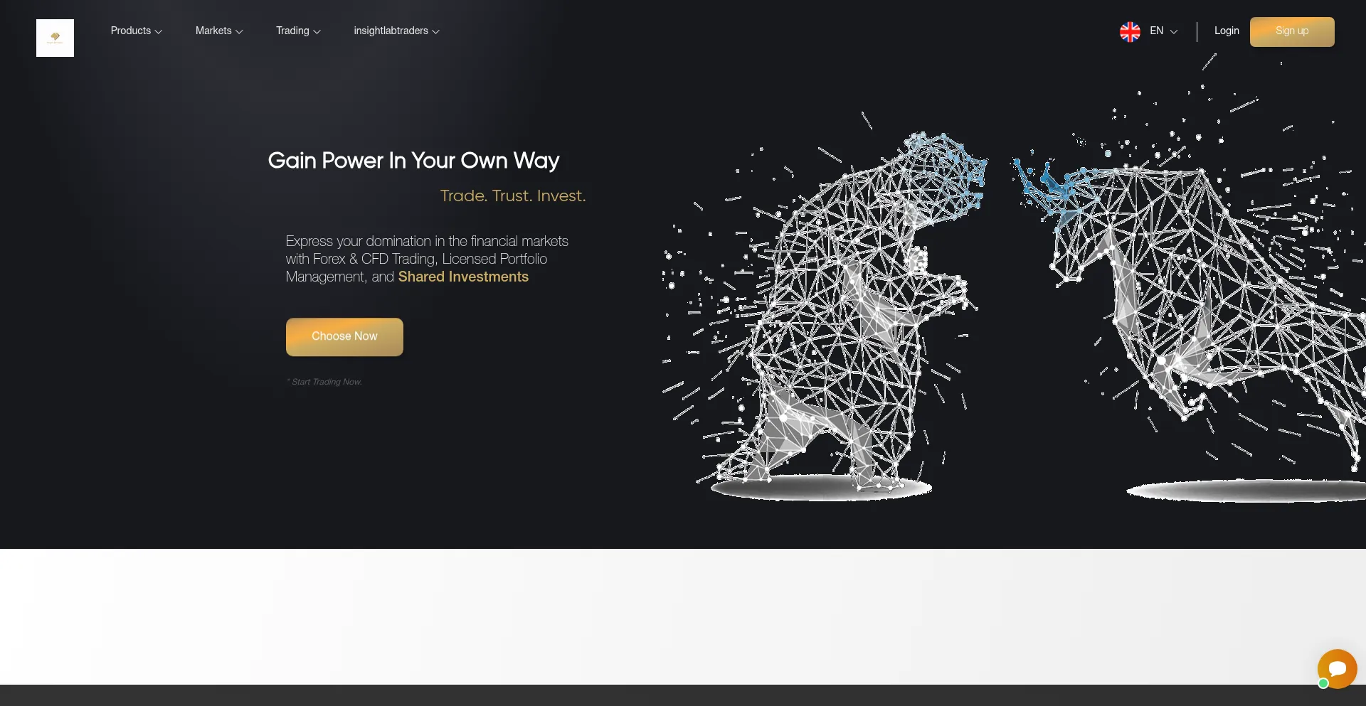 Website screenshot of Insightlabtraders.com