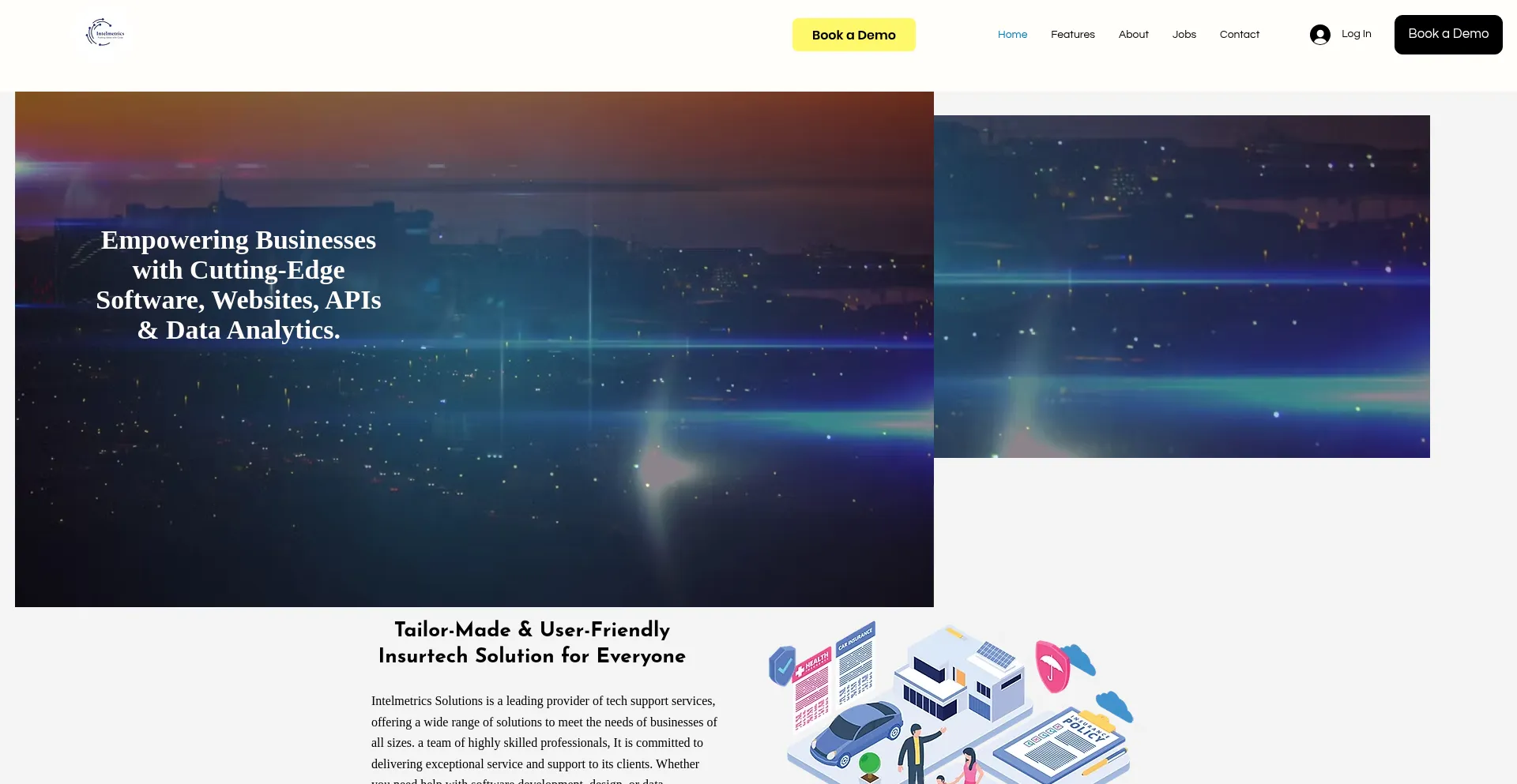 Website screenshot of Intelmetrics.in
