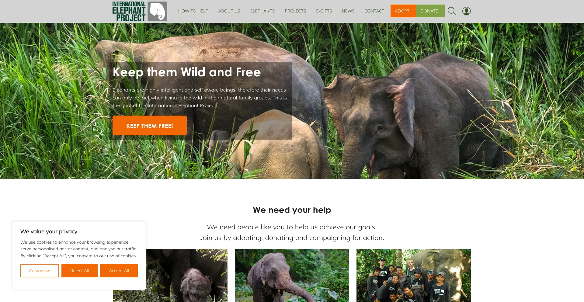 Website screenshot of Internationalelephantproject.org