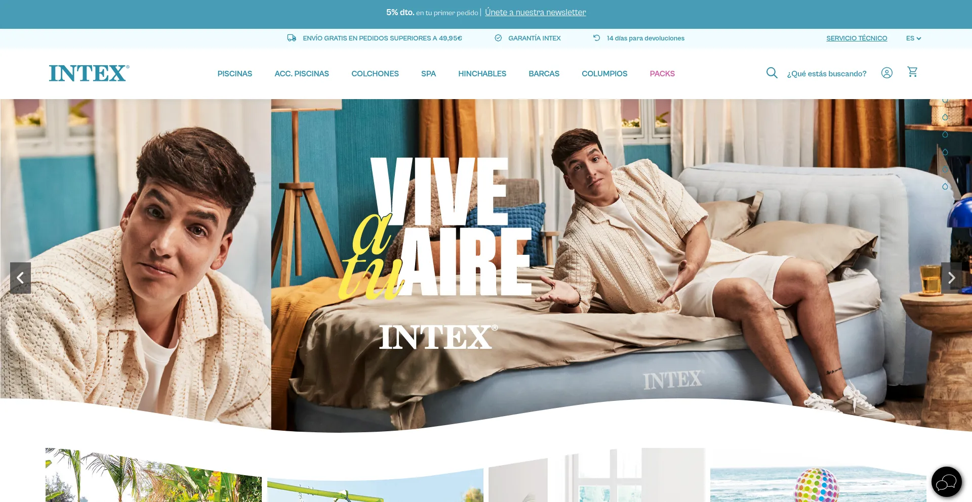 Website screenshot of Intex.es