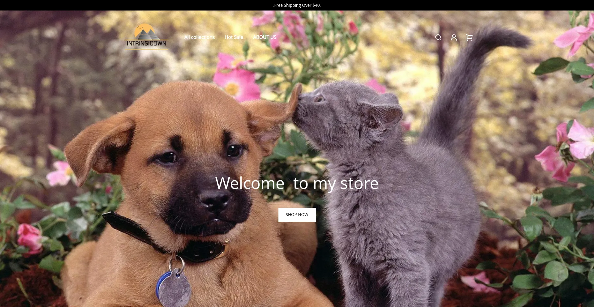 Intrinsicown.com
