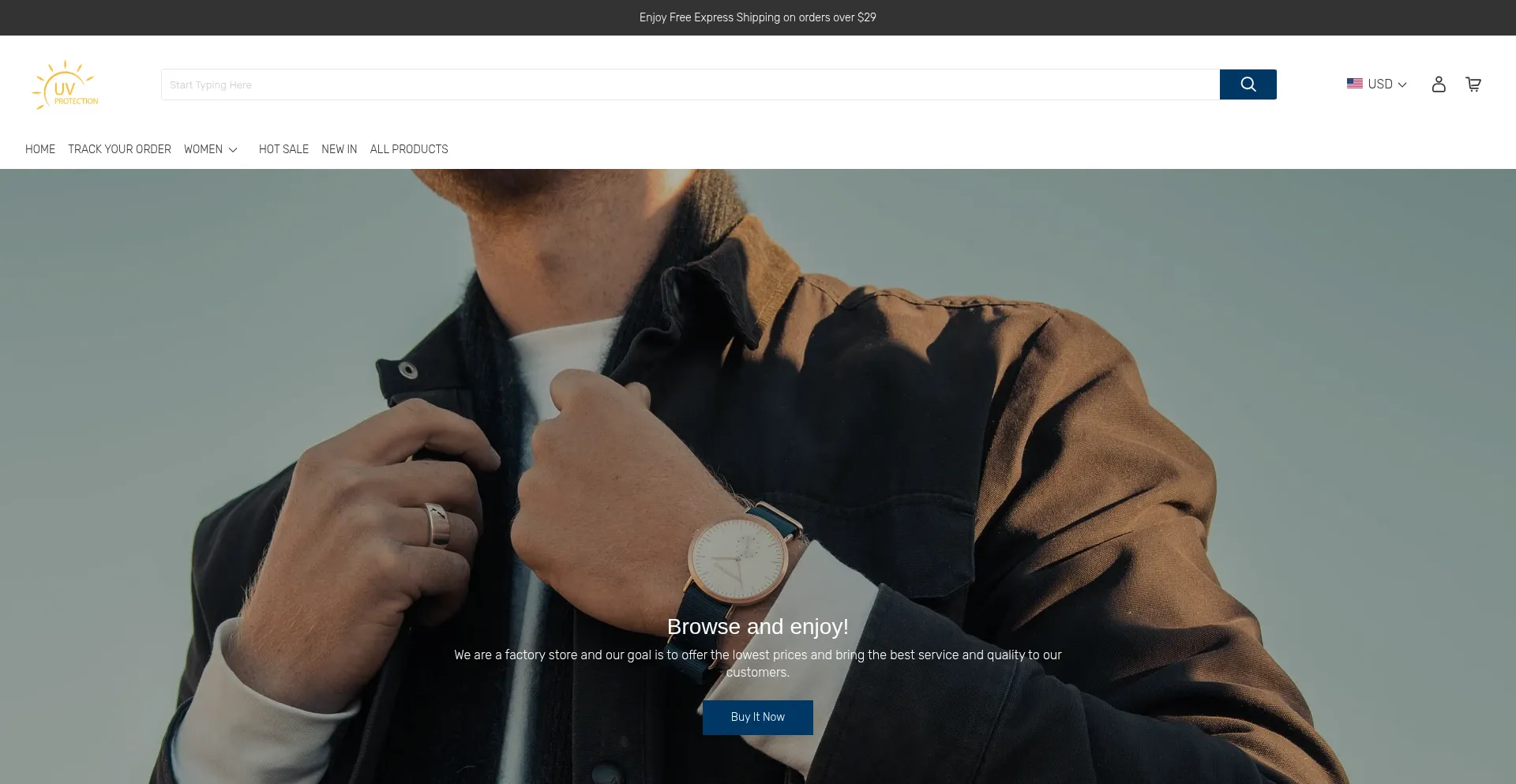 Website screenshot of Ipilon.com