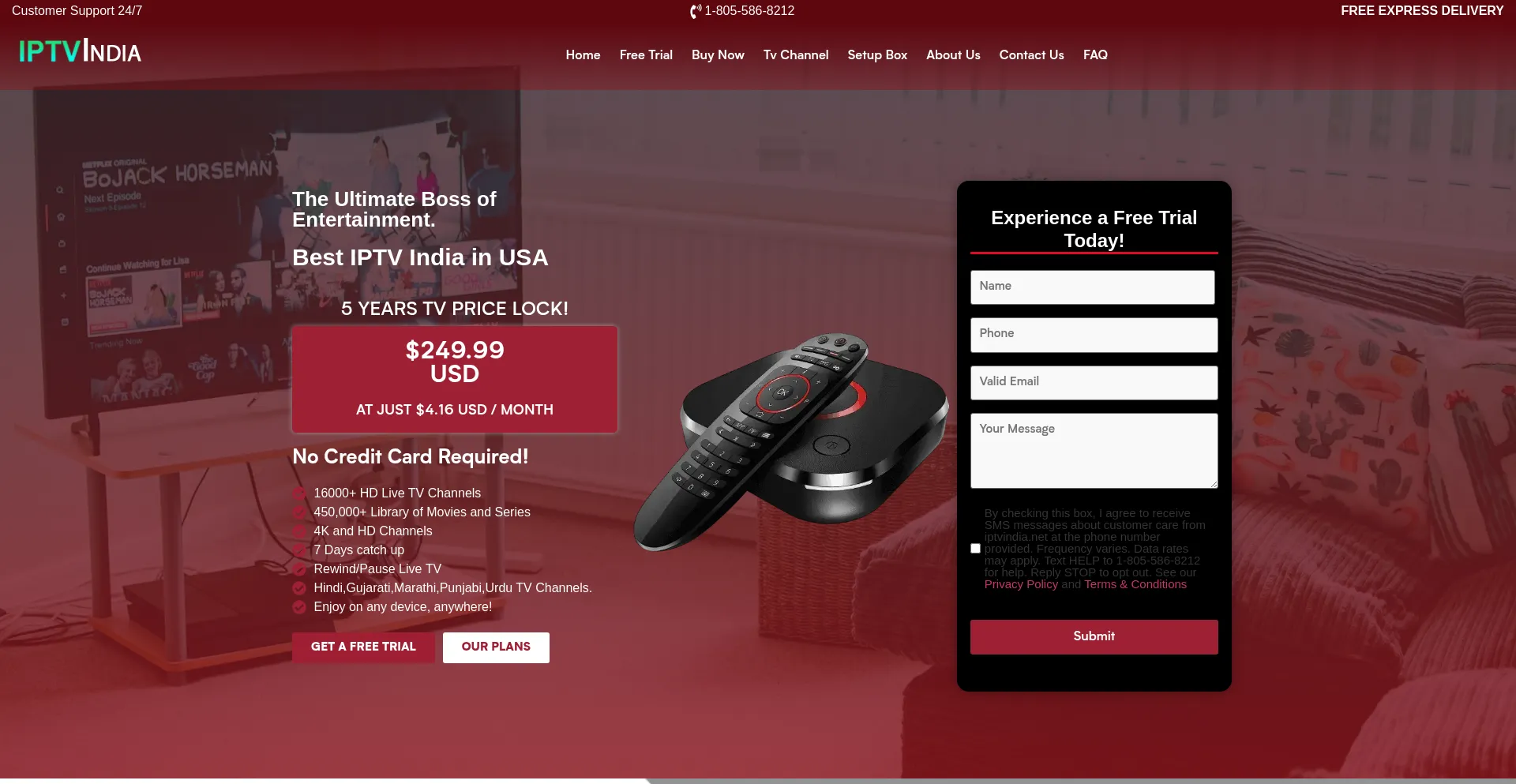 Website screenshot of Iptvindia.net