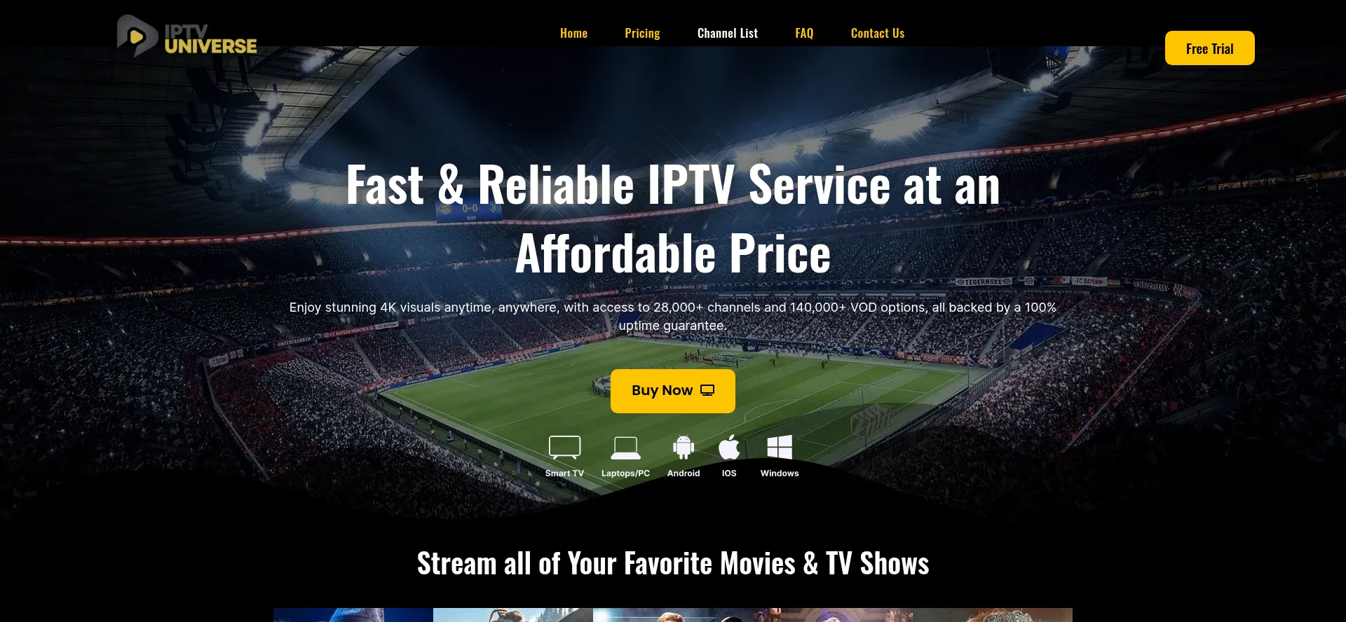 Website screenshot of Iptvuniverse.store