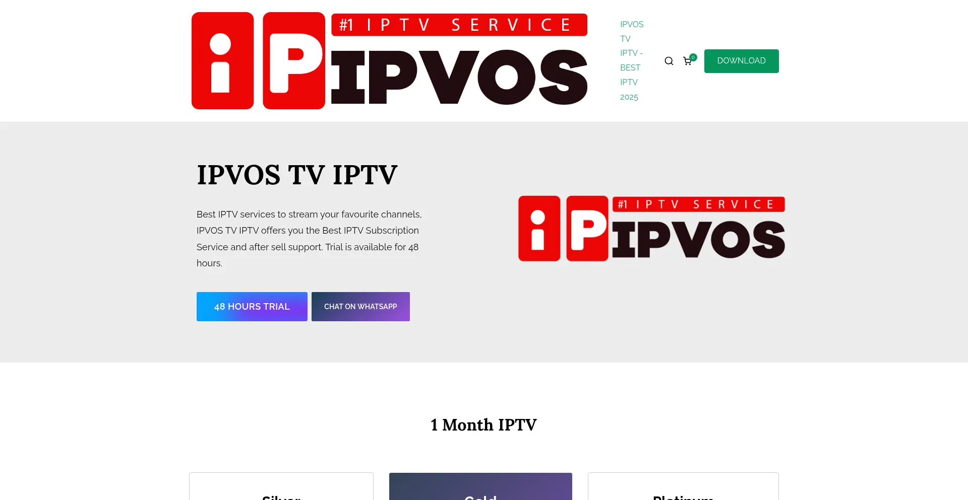Website screenshot of Ipvos.net
