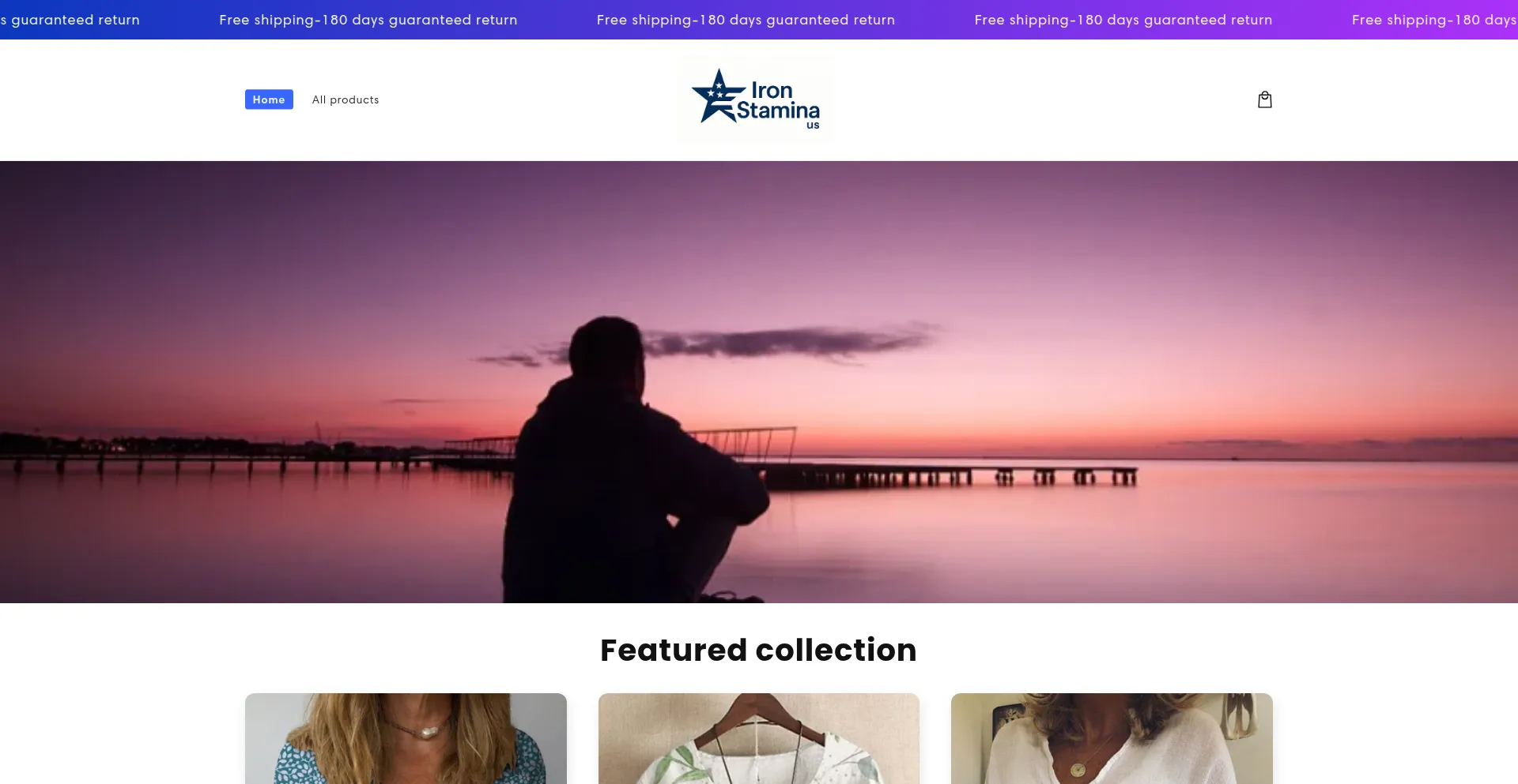 Website screenshot of Ironstamina.us
