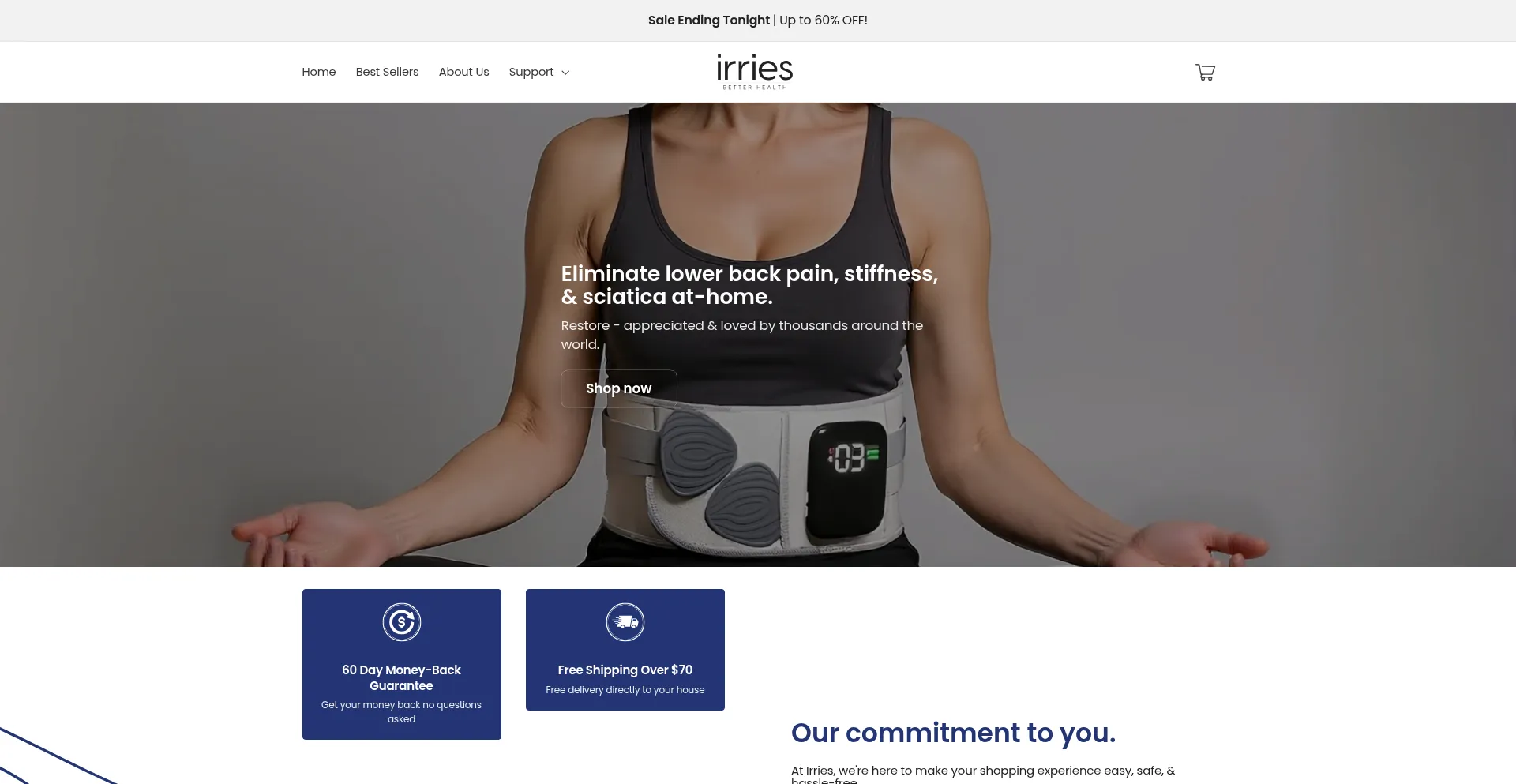 Irries.com Screenshot