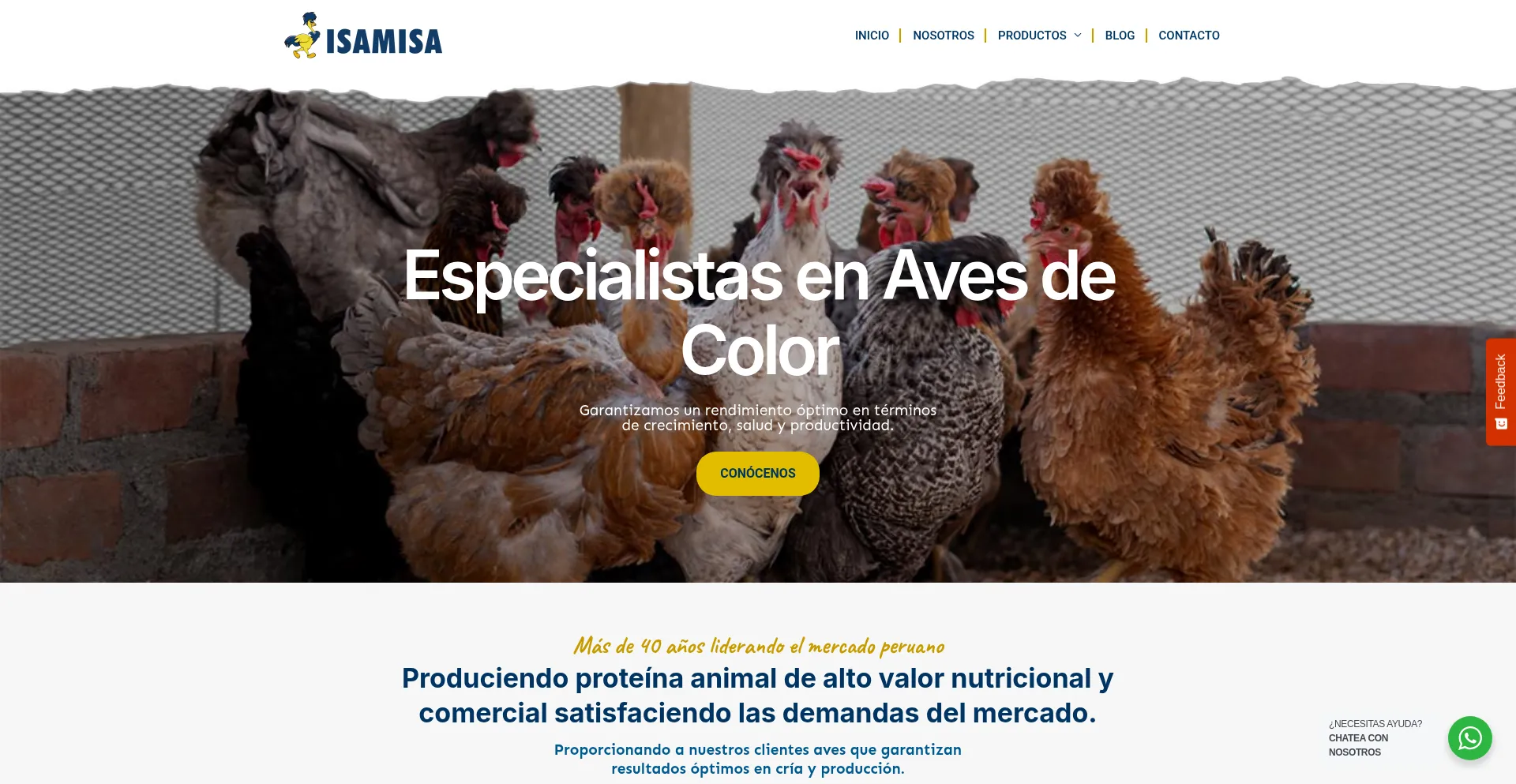 Website screenshot of Isamisa.com.pe