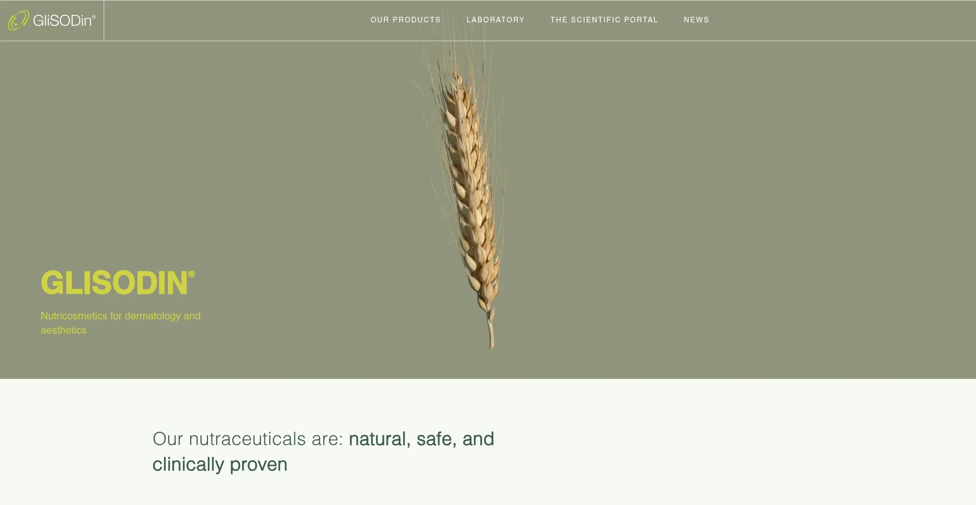 Website screenshot of Isocell.fr