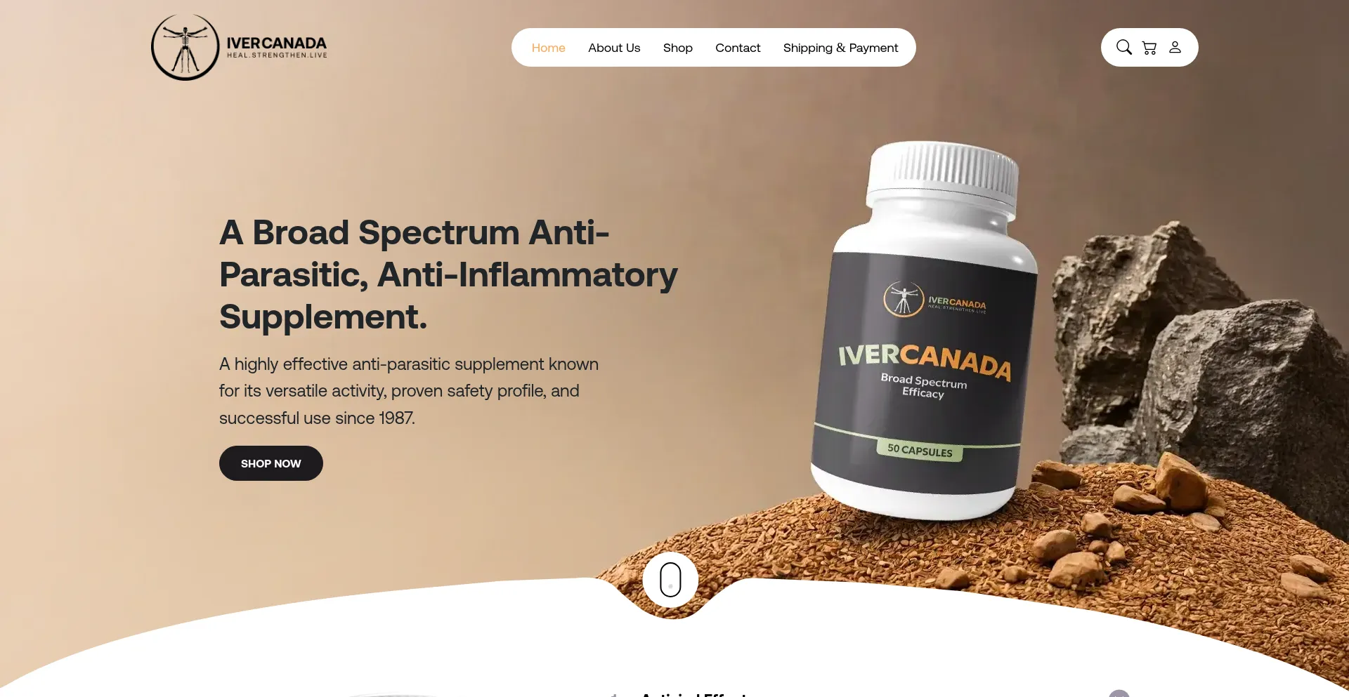 Website screenshot of Ivercanada.com