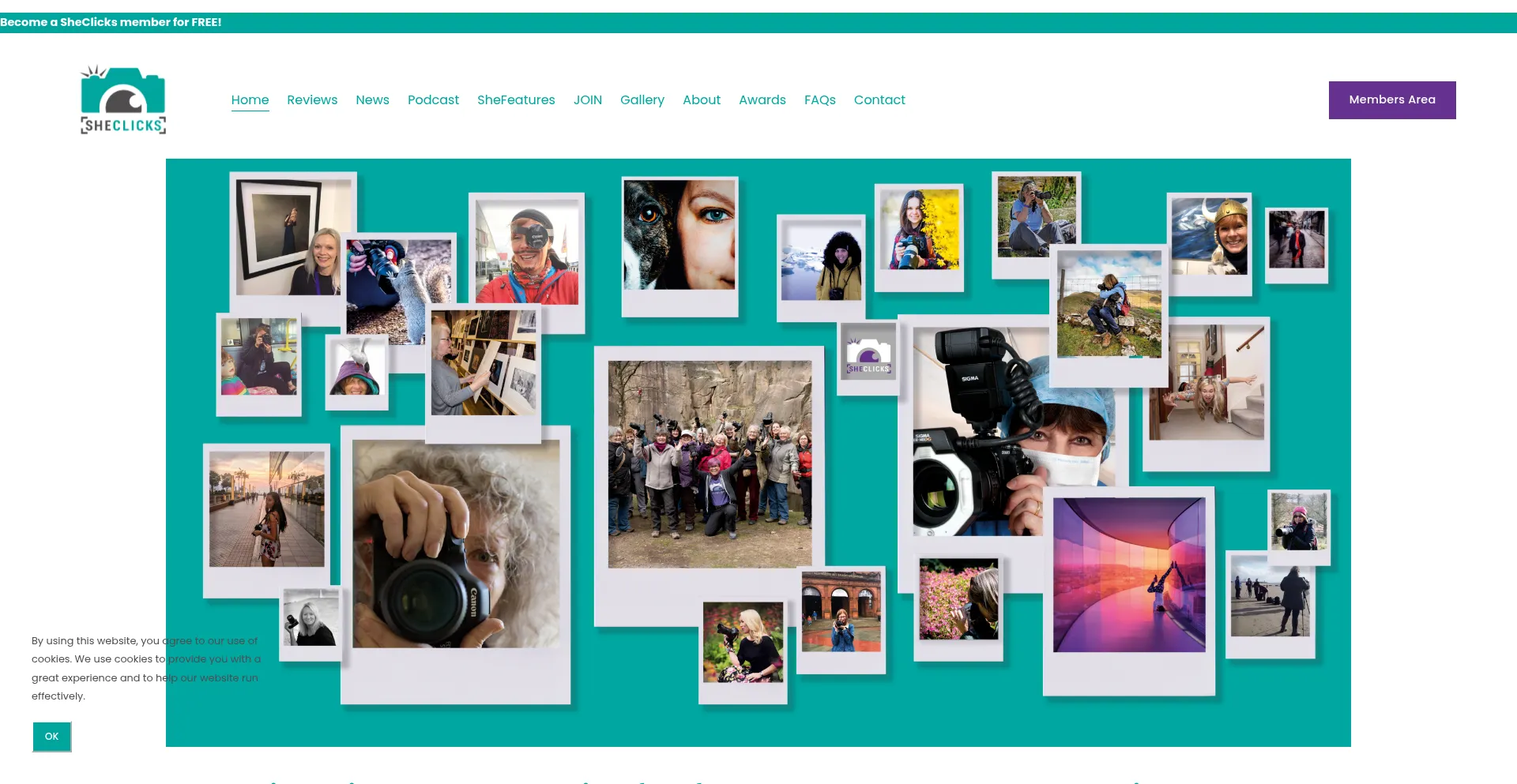 Website screenshot of Ivto.info