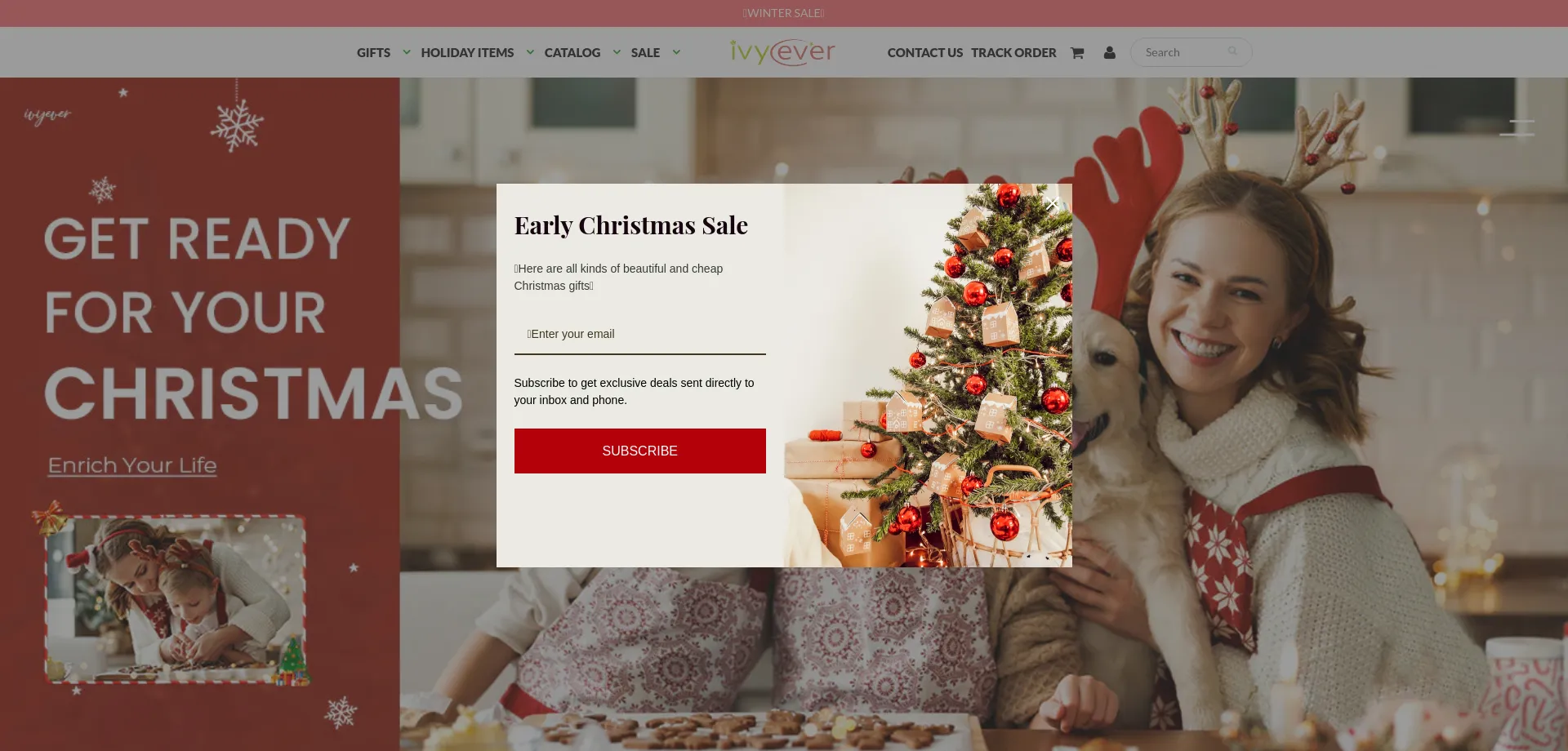 Website screenshot of Ivyever.com
