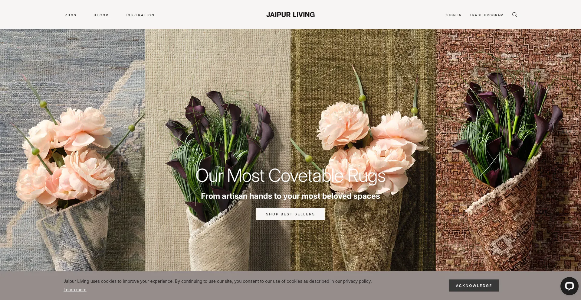 Website screenshot of Jaipurliving.com