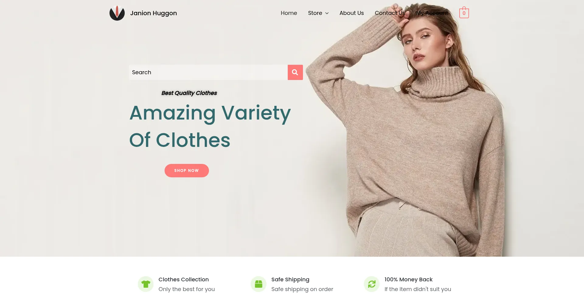 Website screenshot of Janionhuggon.com
