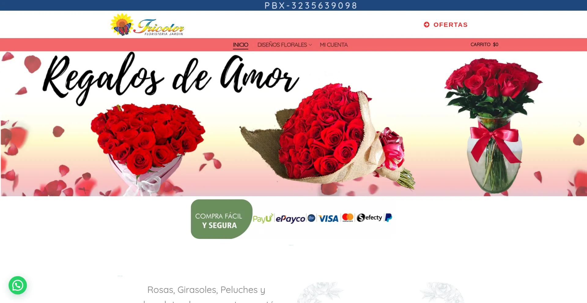 Is Jardintricolor.com Safe?
