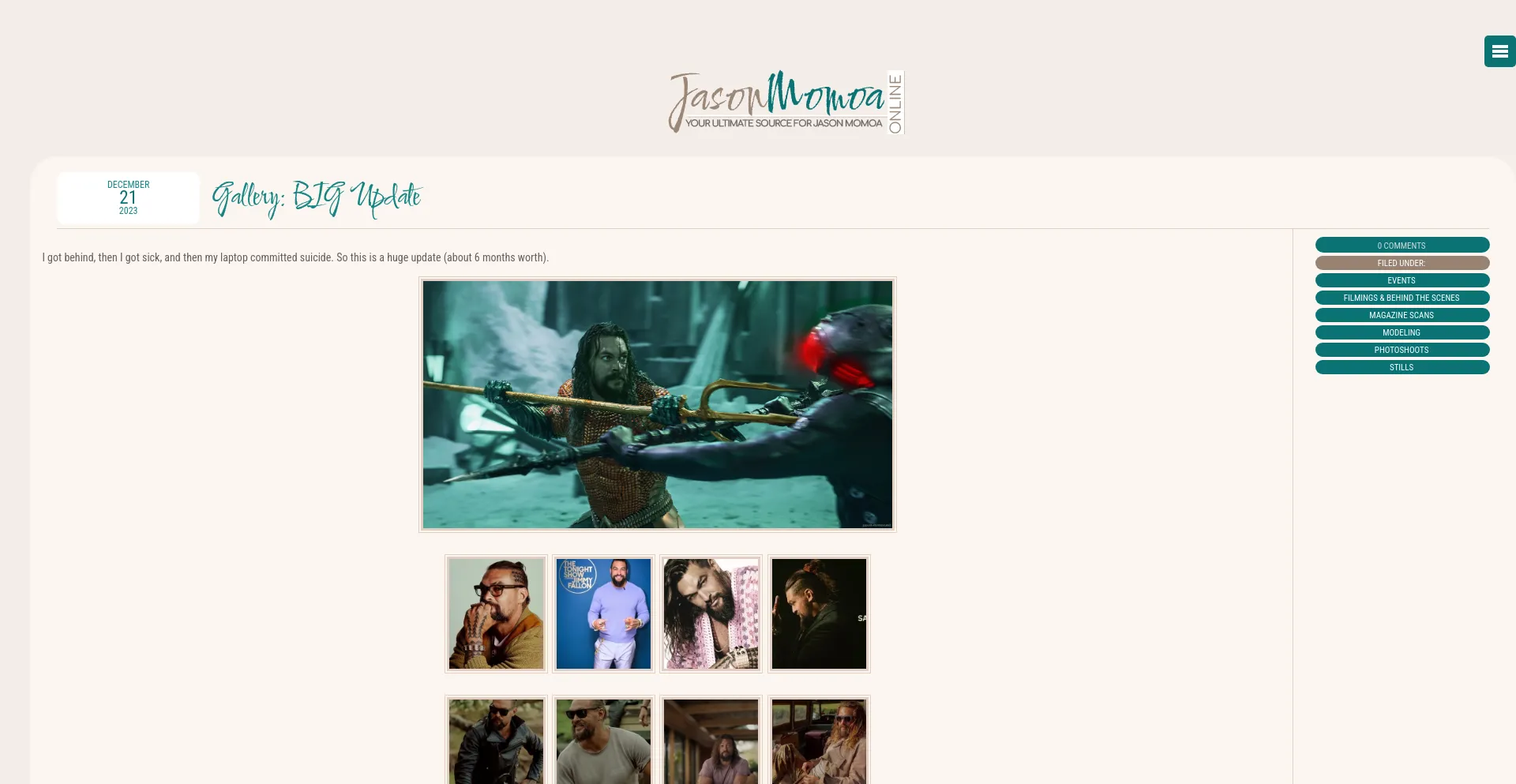 Website screenshot of Jason-momoa.net