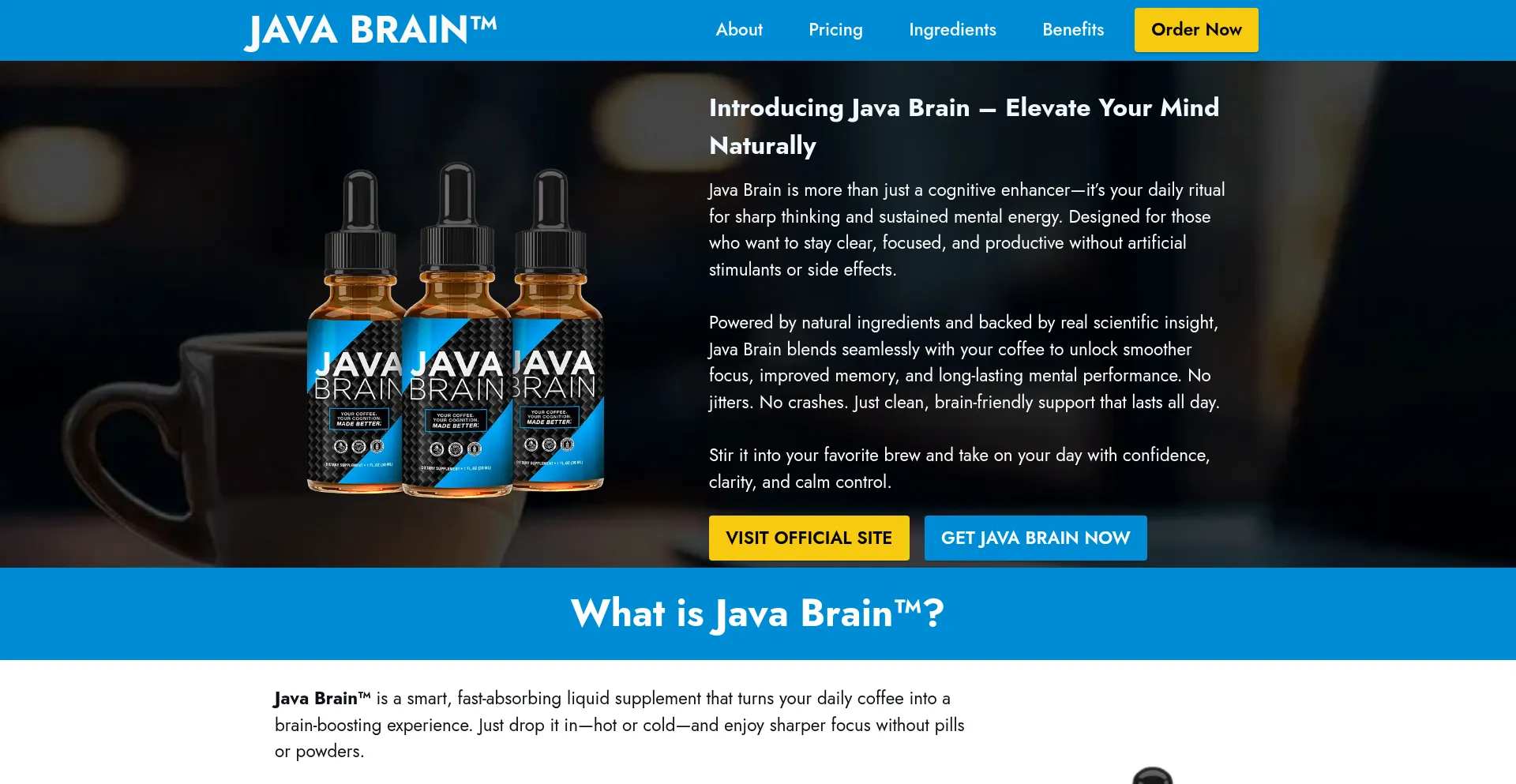 Is Java-javabrain.com Safe?