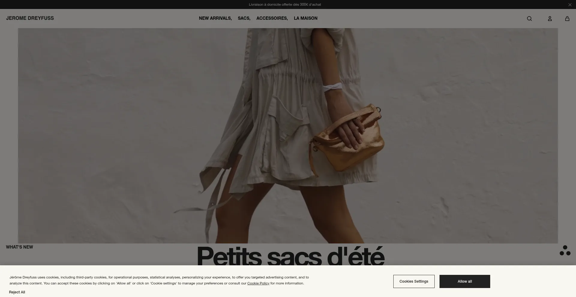 Website screenshot of Jerome-dreyfuss.com