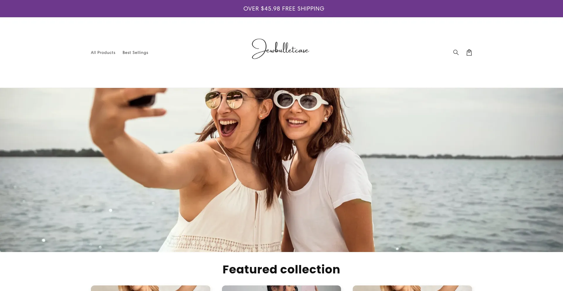 Website screenshot of Jewbulletcase.com