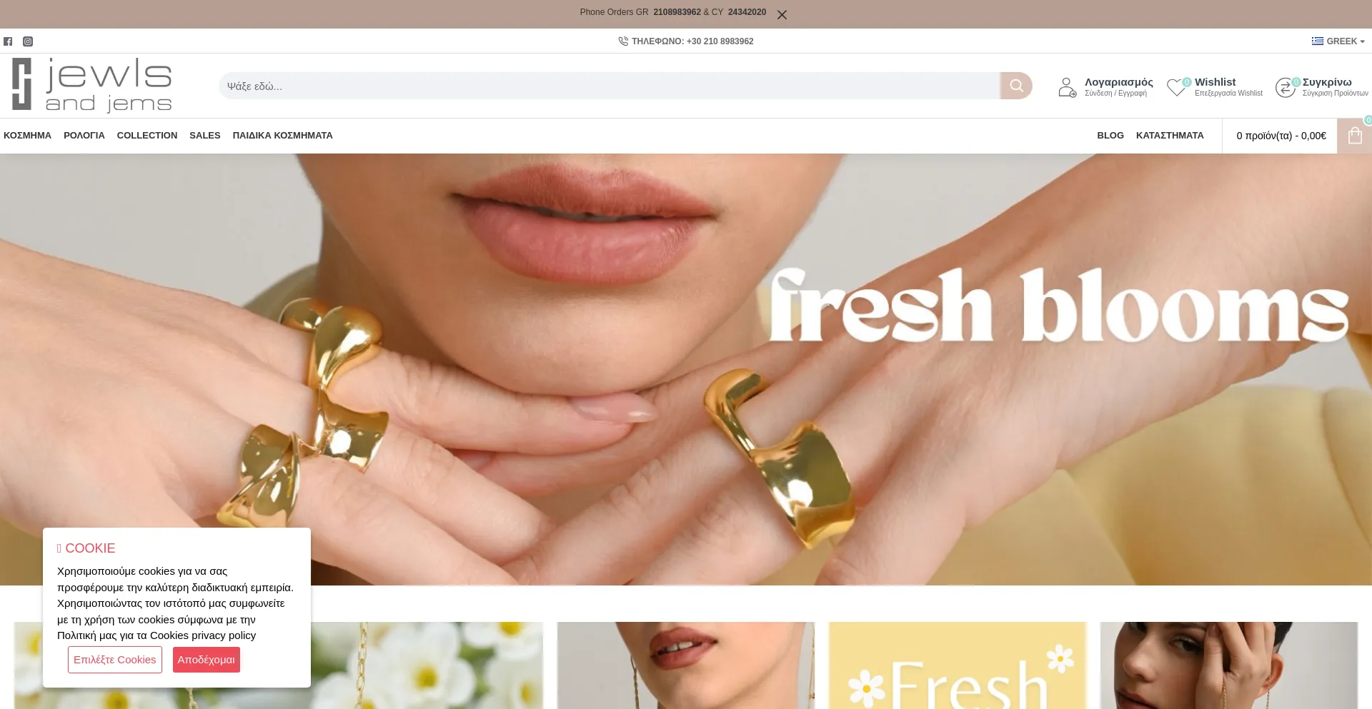 Website screenshot of Jewlsandjems.com