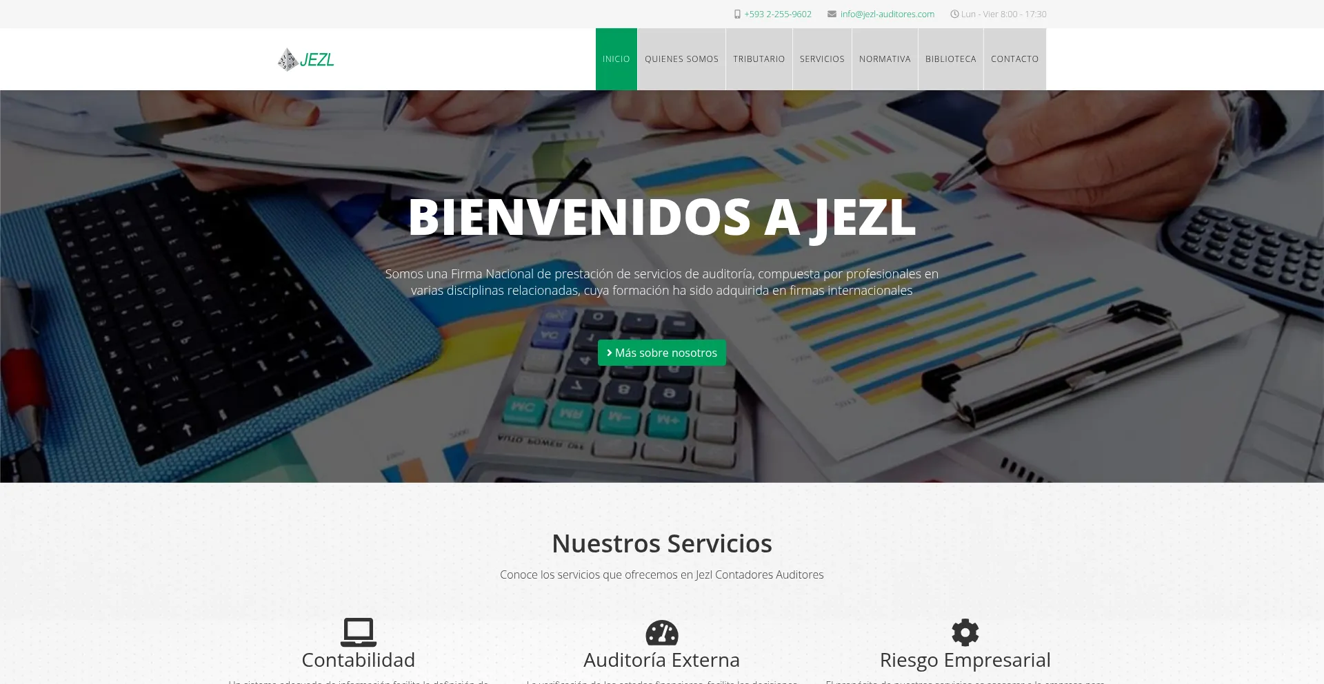 Jezl-auditores.com Screenshot