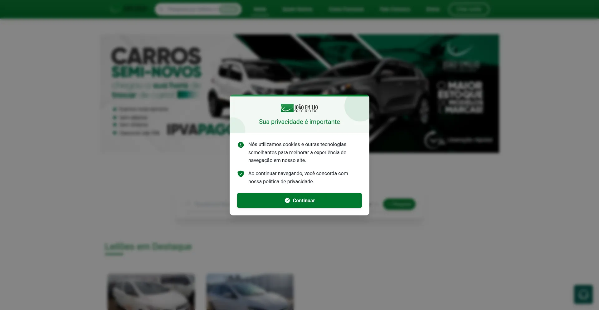 Website screenshot of Joaoleilaorj.org