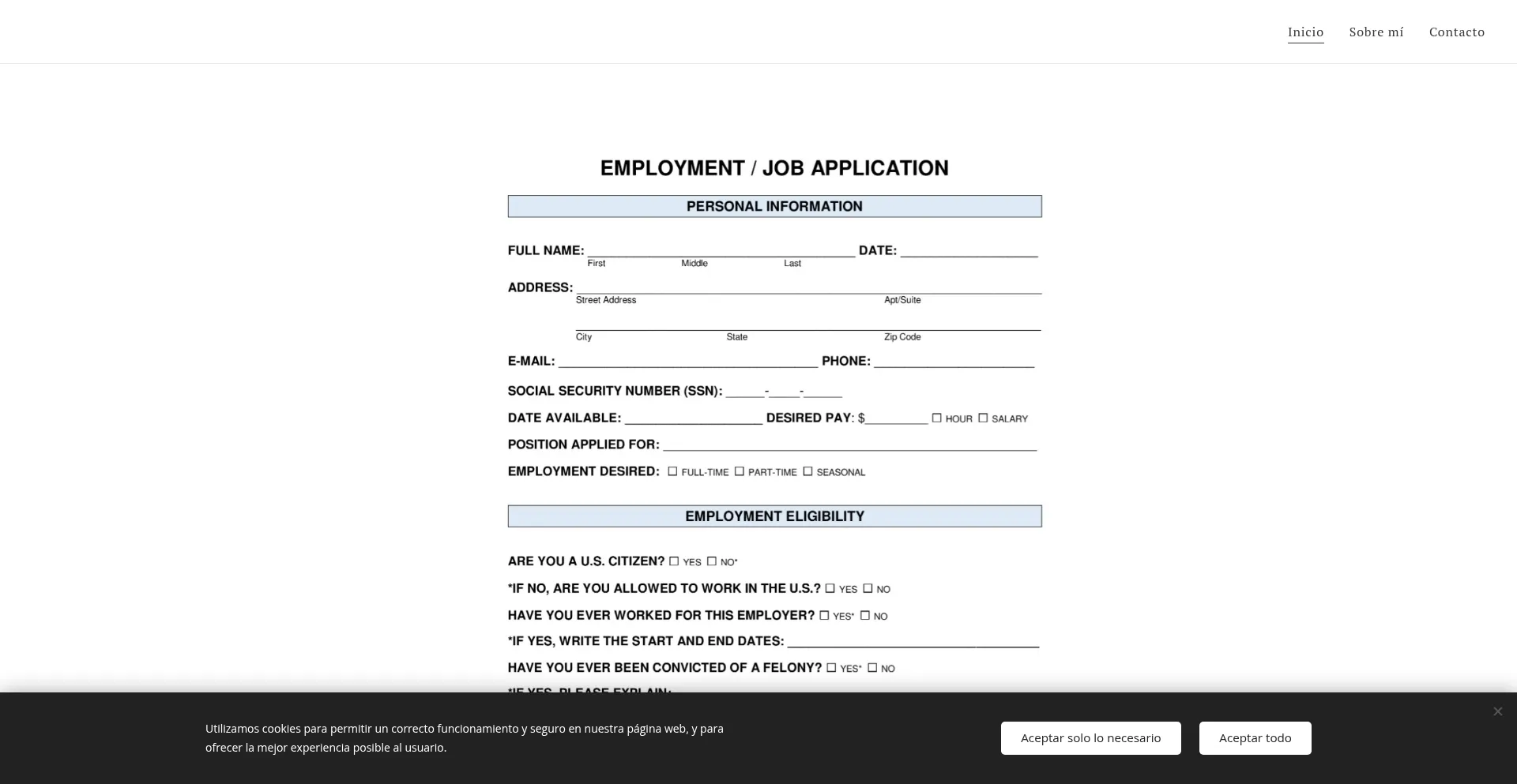 Job-aplication-1.webnode.mx