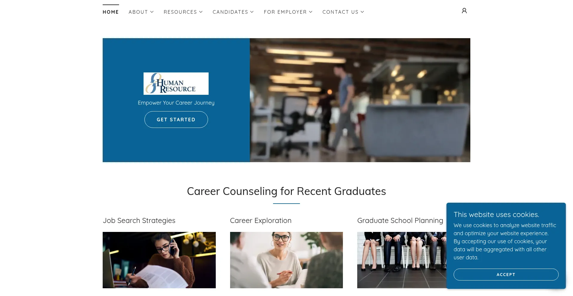 Website screenshot of Jobconsulting.services