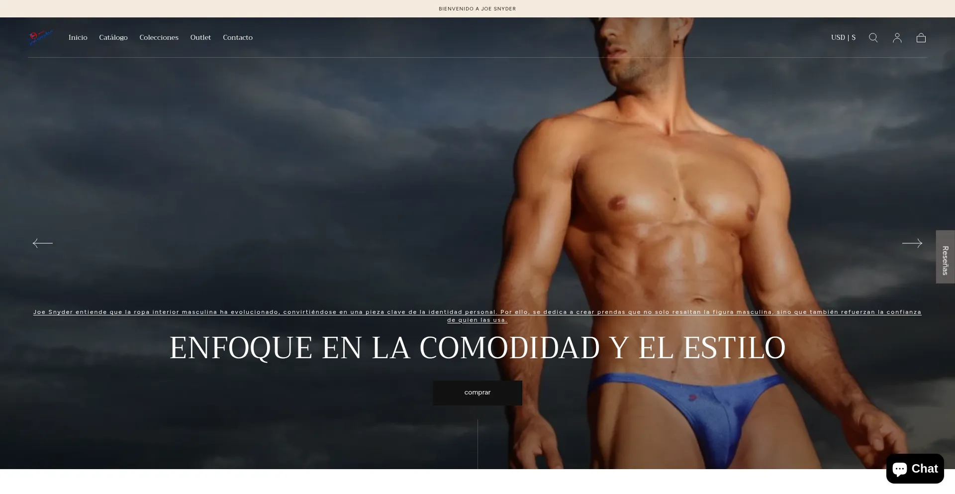 Website screenshot of Joesnyder.com