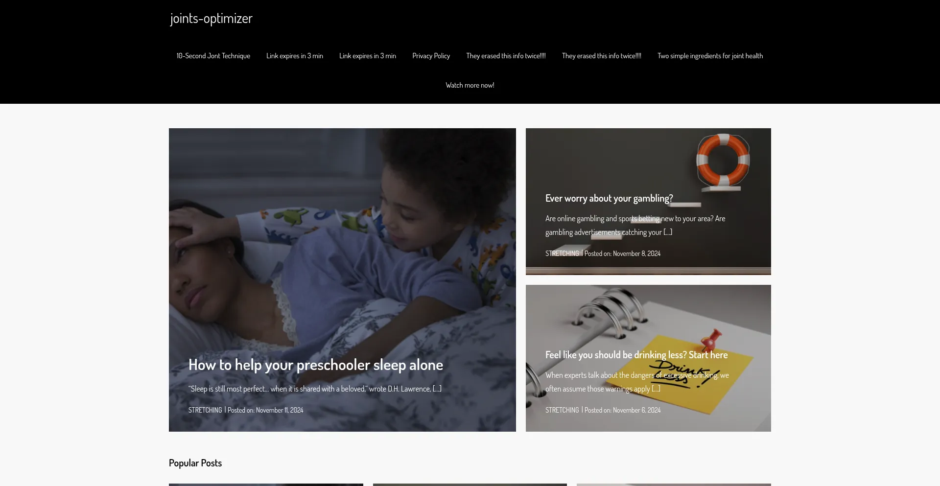 Website screenshot of Joints-optimizer.com