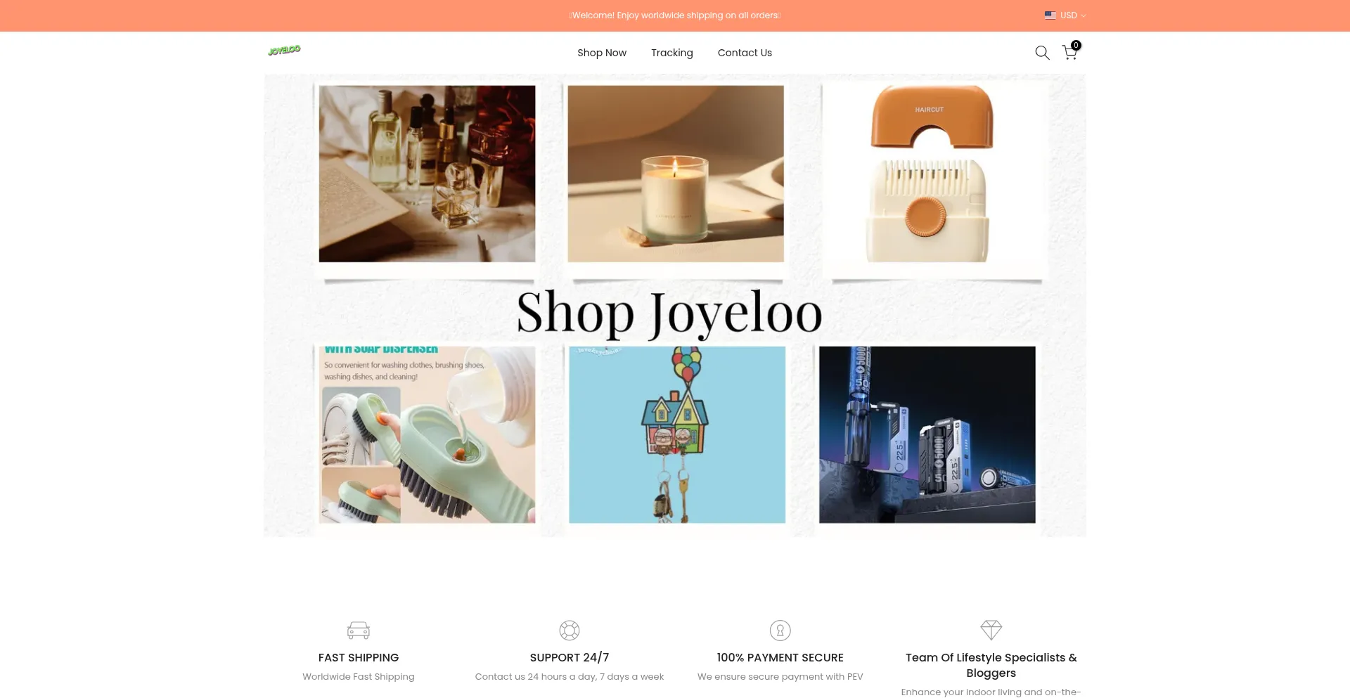 Website screenshot of Joyeloo.com