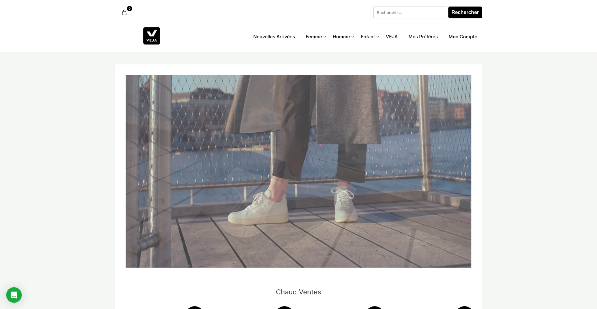 Website screenshot of Juliestewartlafin.com