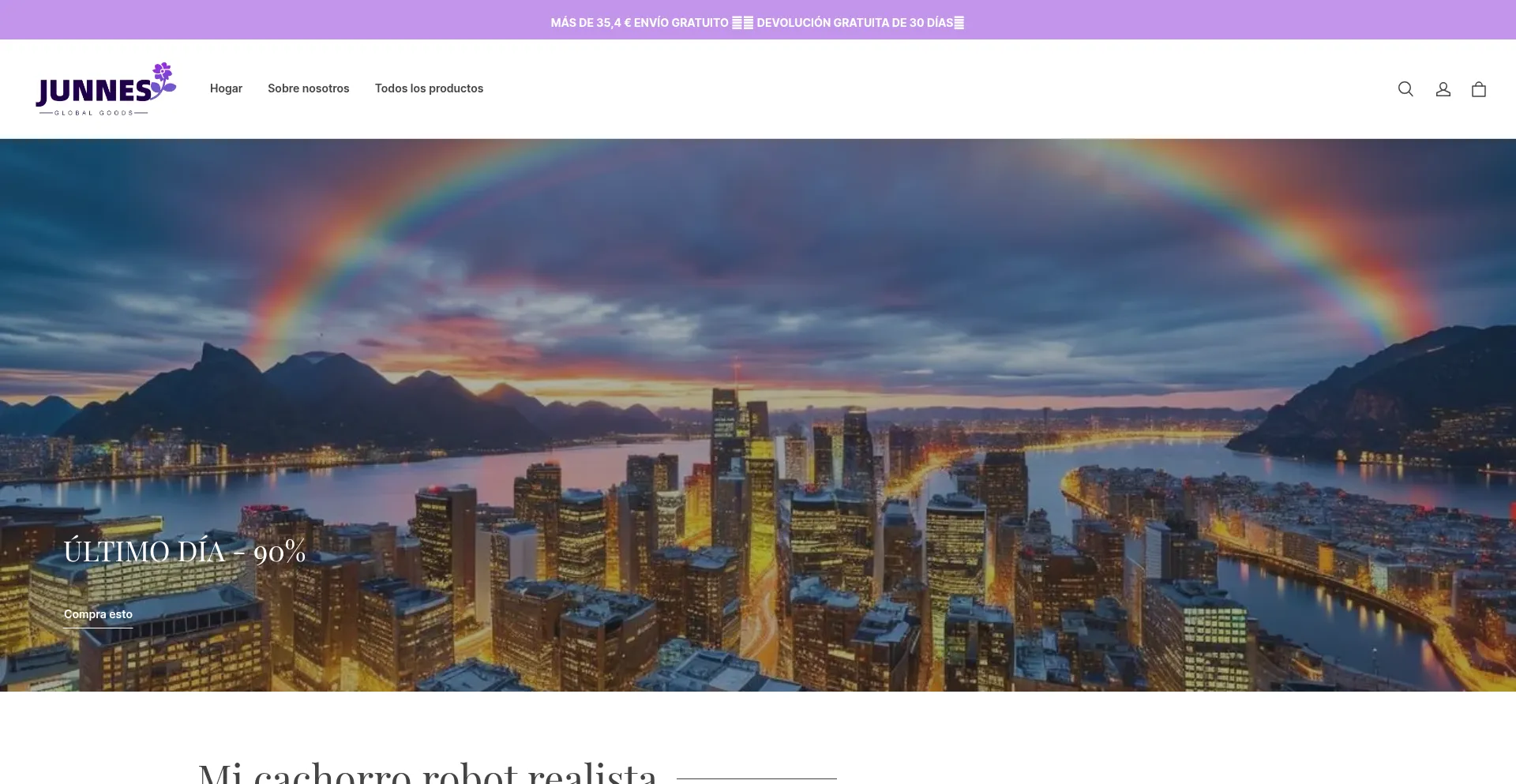 Website screenshot of Junnes.com