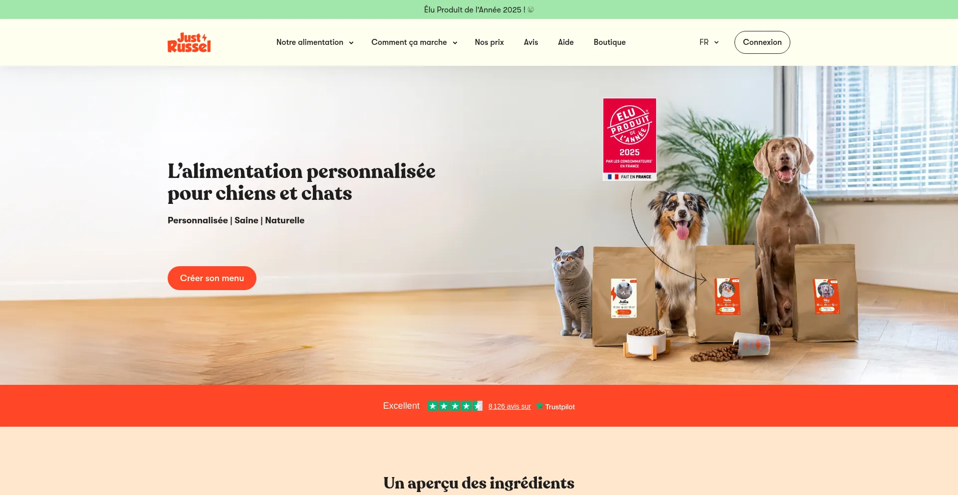 Justrussel.fr Screenshot