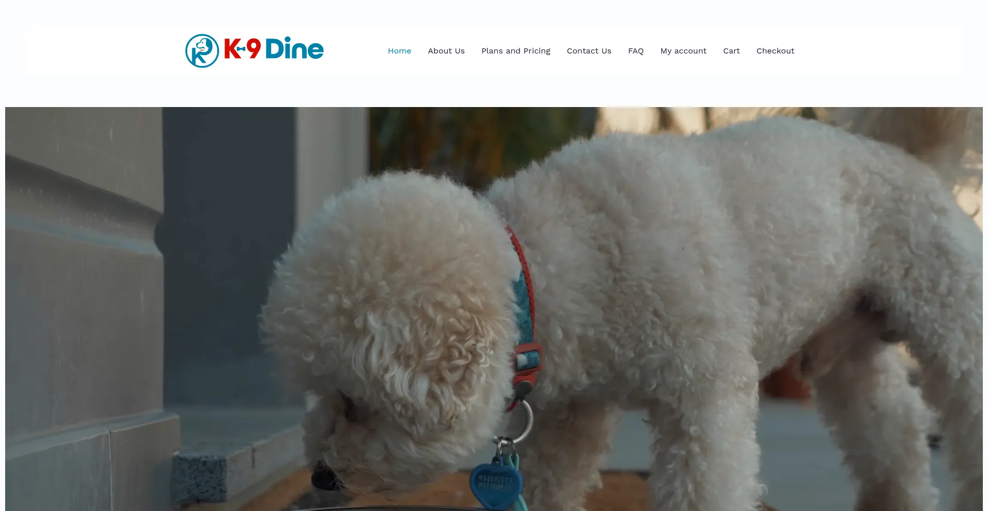 Website screenshot of K9dinepetfood.com