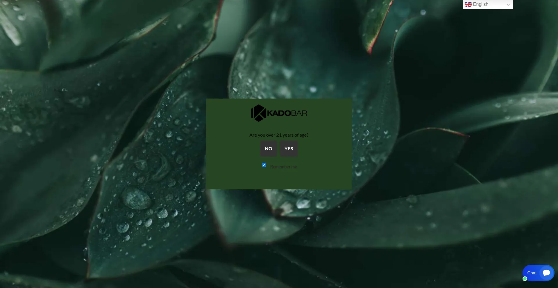 Website screenshot of Kadobar.co