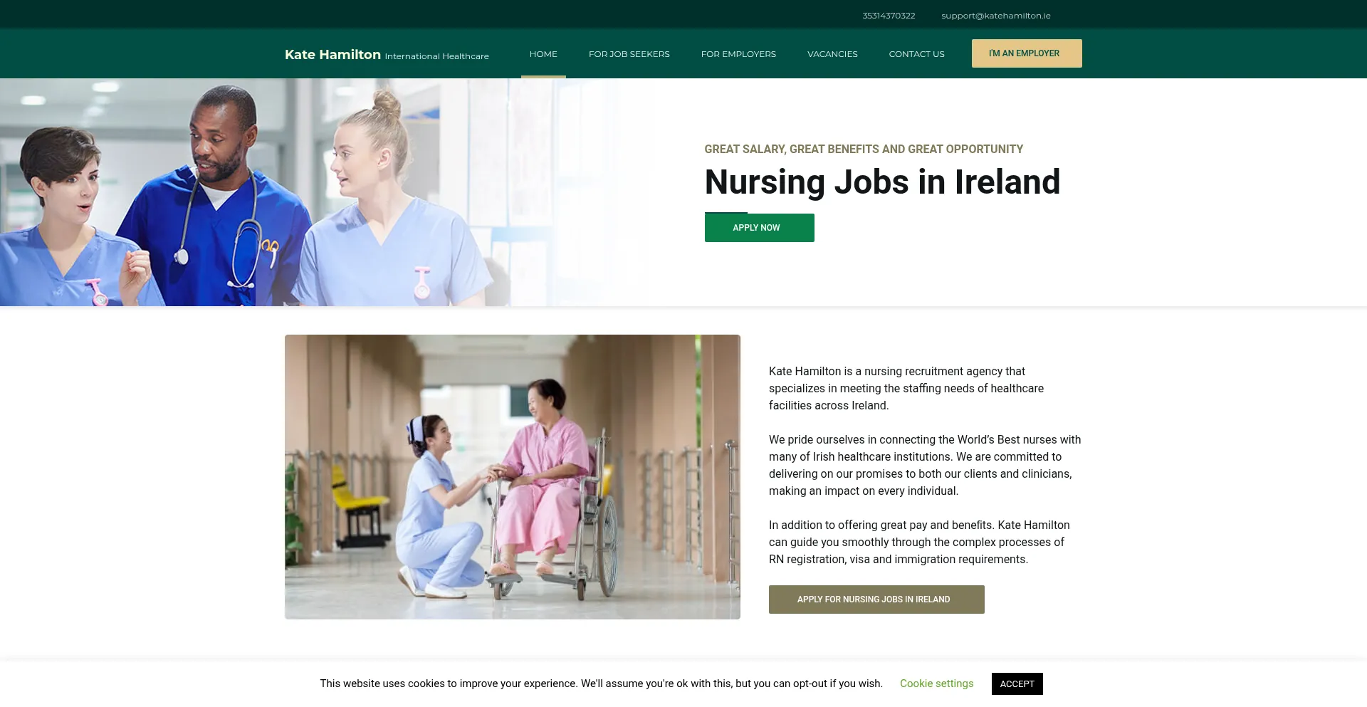 Website screenshot of Katehamilton.ie