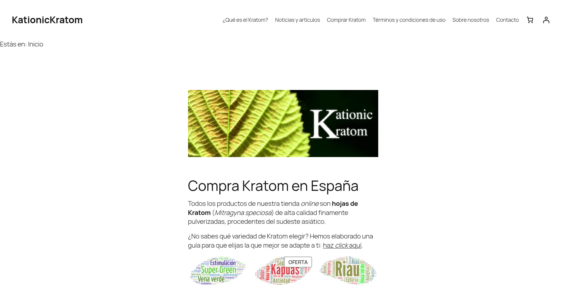 Website screenshot of Kationickratom.net