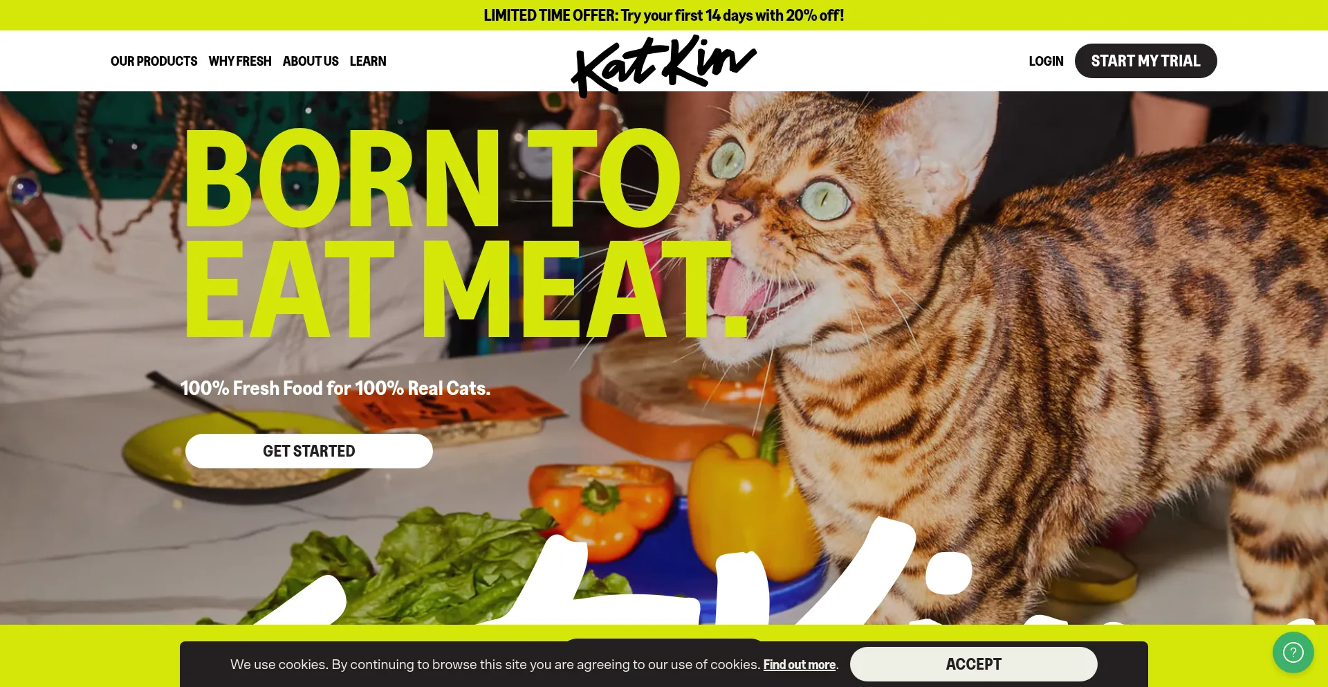 Katkin.com Screenshot