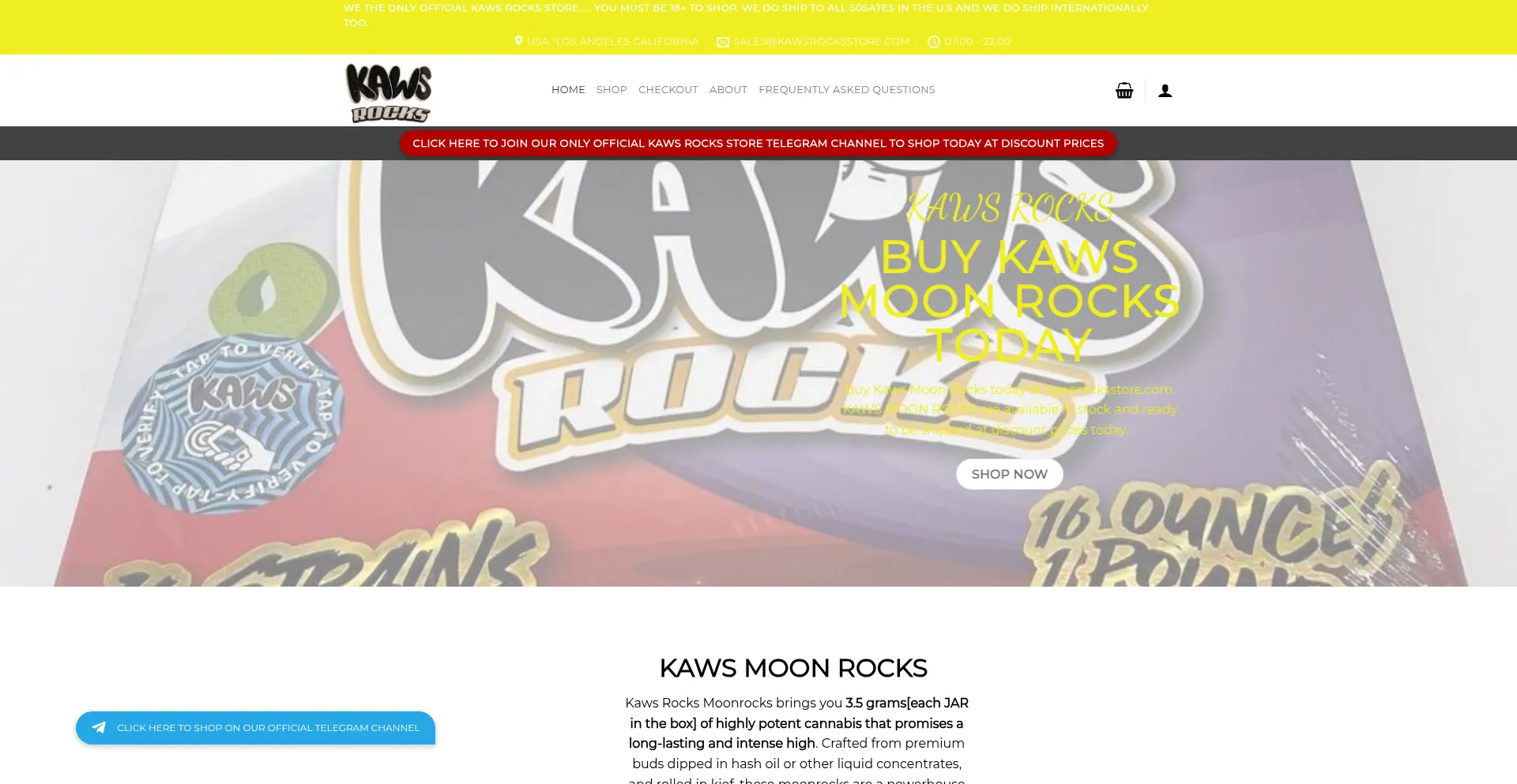 Website screenshot of Kawsrocksstore.com