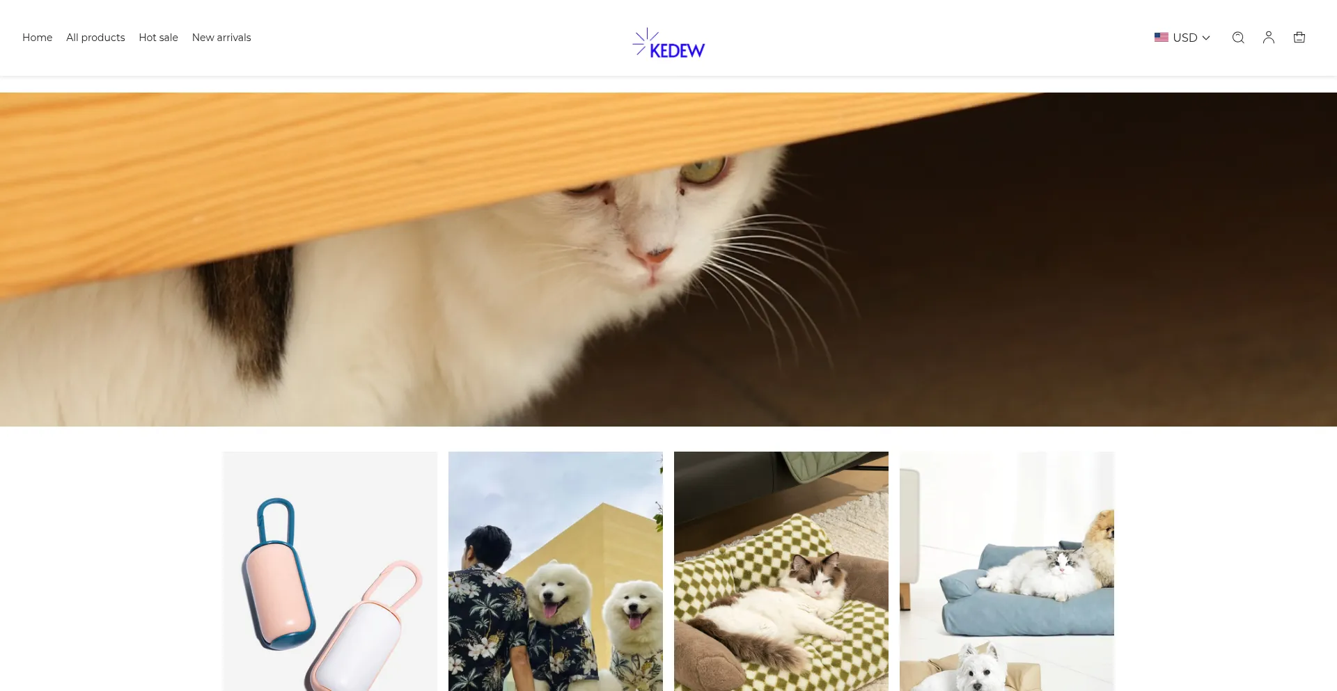 Website screenshot of Kedew.com