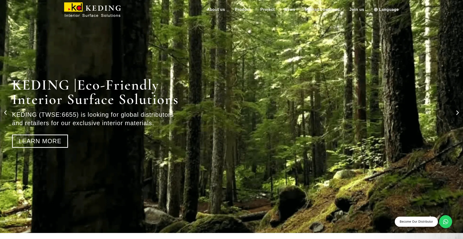 Website screenshot of Keding-global.com