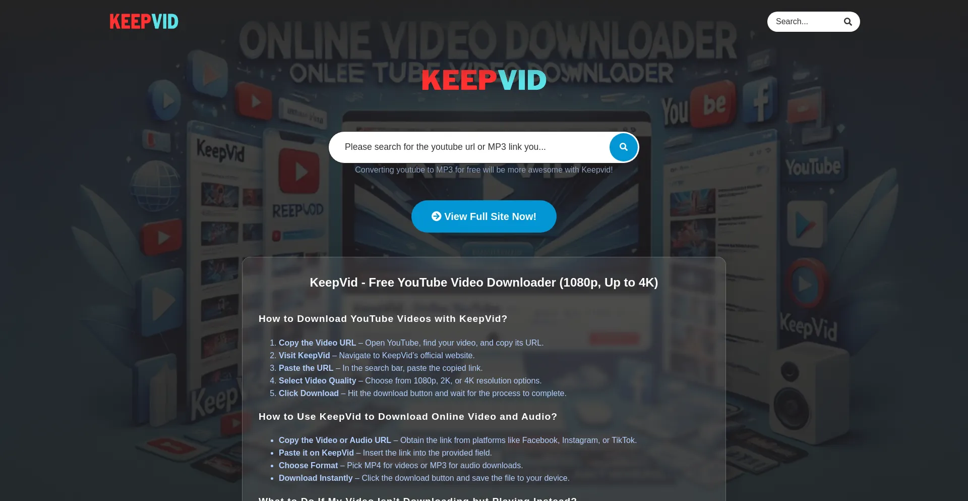 Website screenshot of Keepvid.net.im