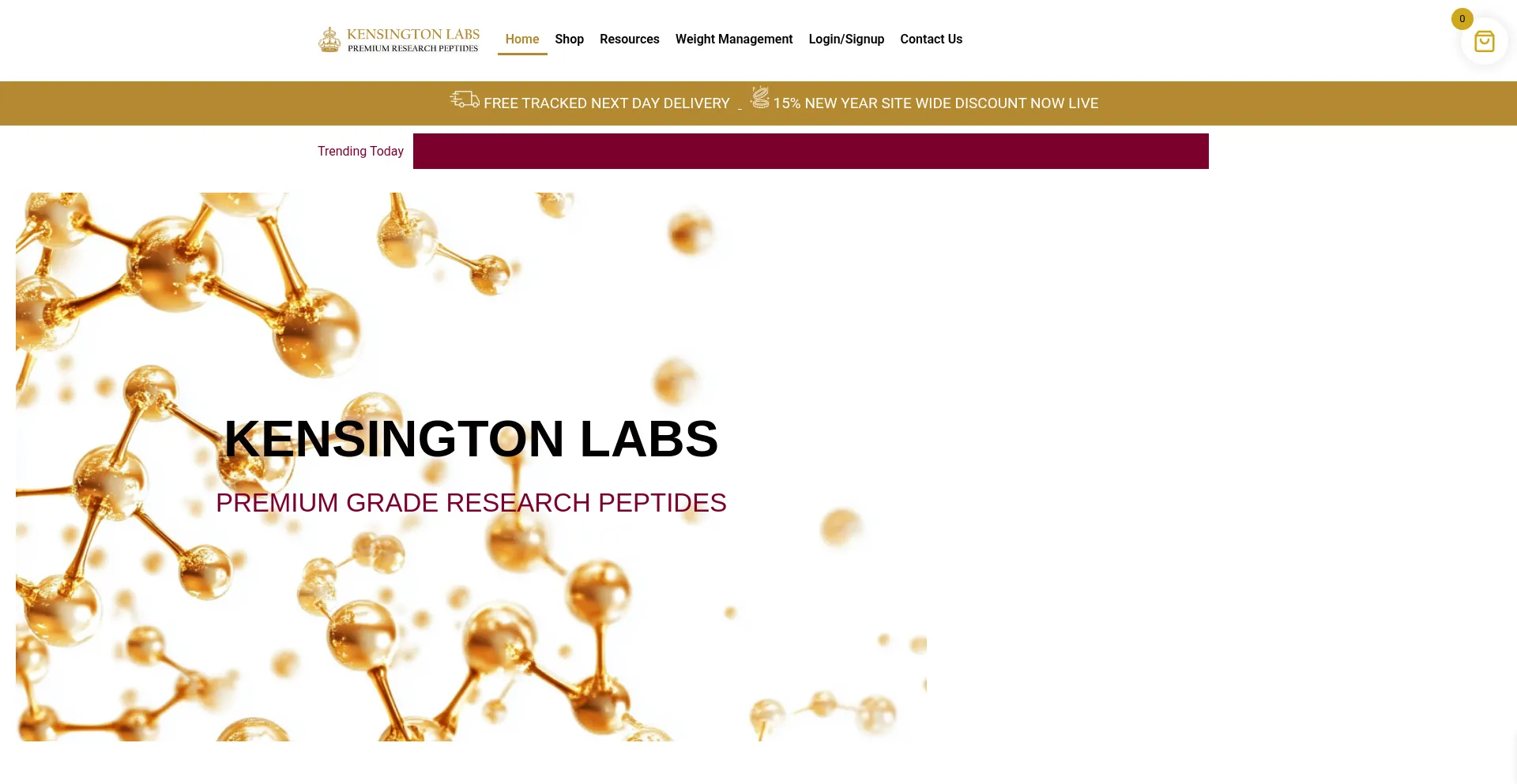 Website screenshot of Kensingtonlabs.co.uk