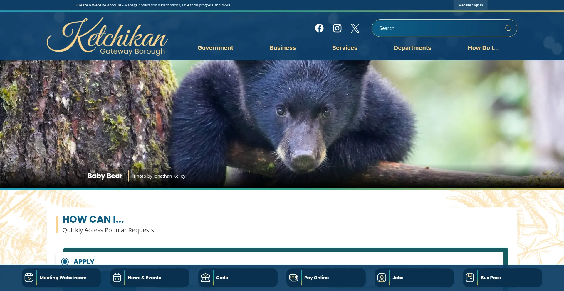 Website screenshot of Kgbak.us