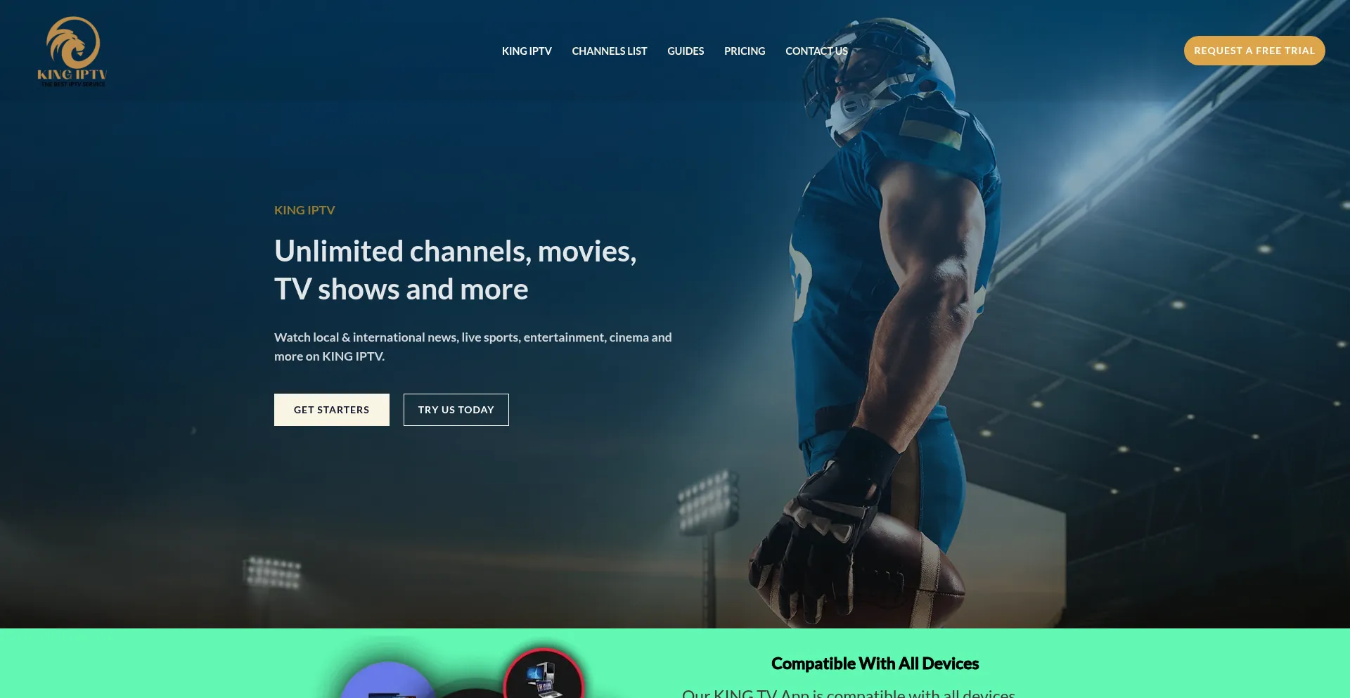 Website screenshot of Kingiptv.shop